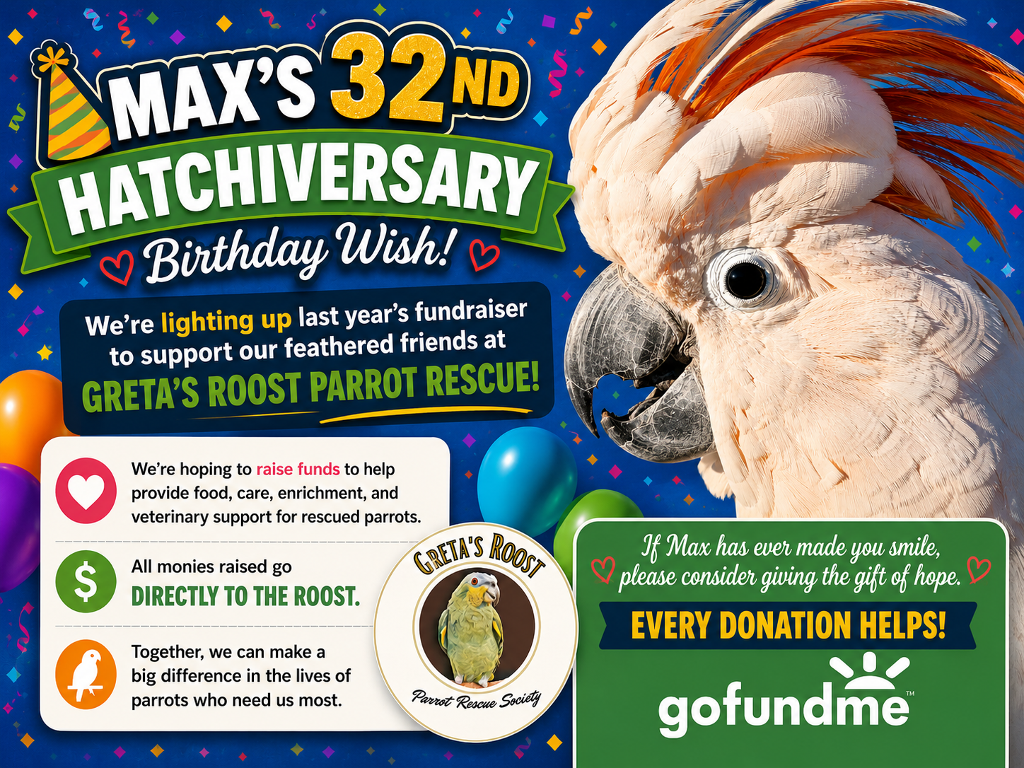 Max the Moluccan Birthday Fundraiser for Greta's Roost campaign photo, 6 of 8