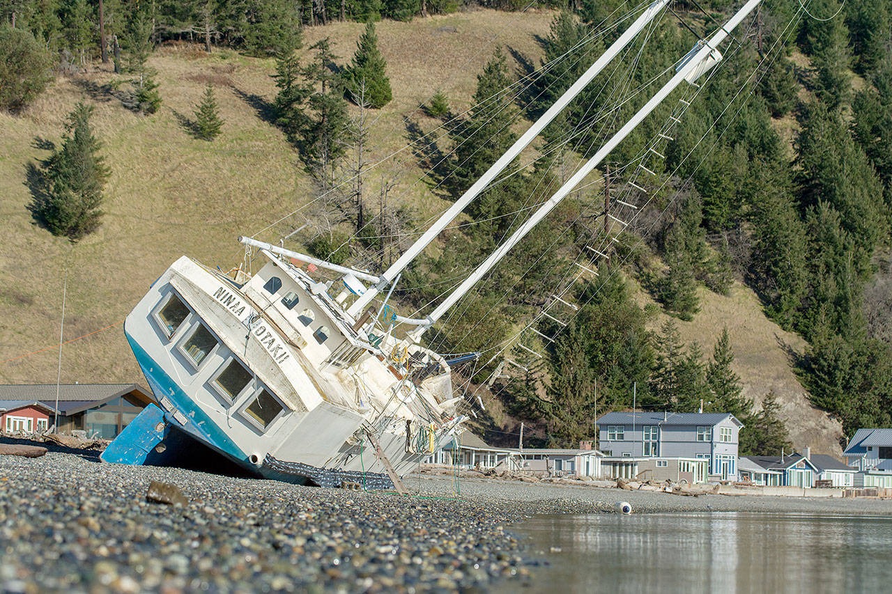 User-uploaded image 1