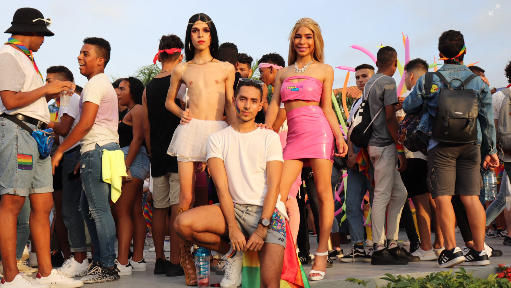 Support Trans Youth in Crisis: Donate Now pinned link photo