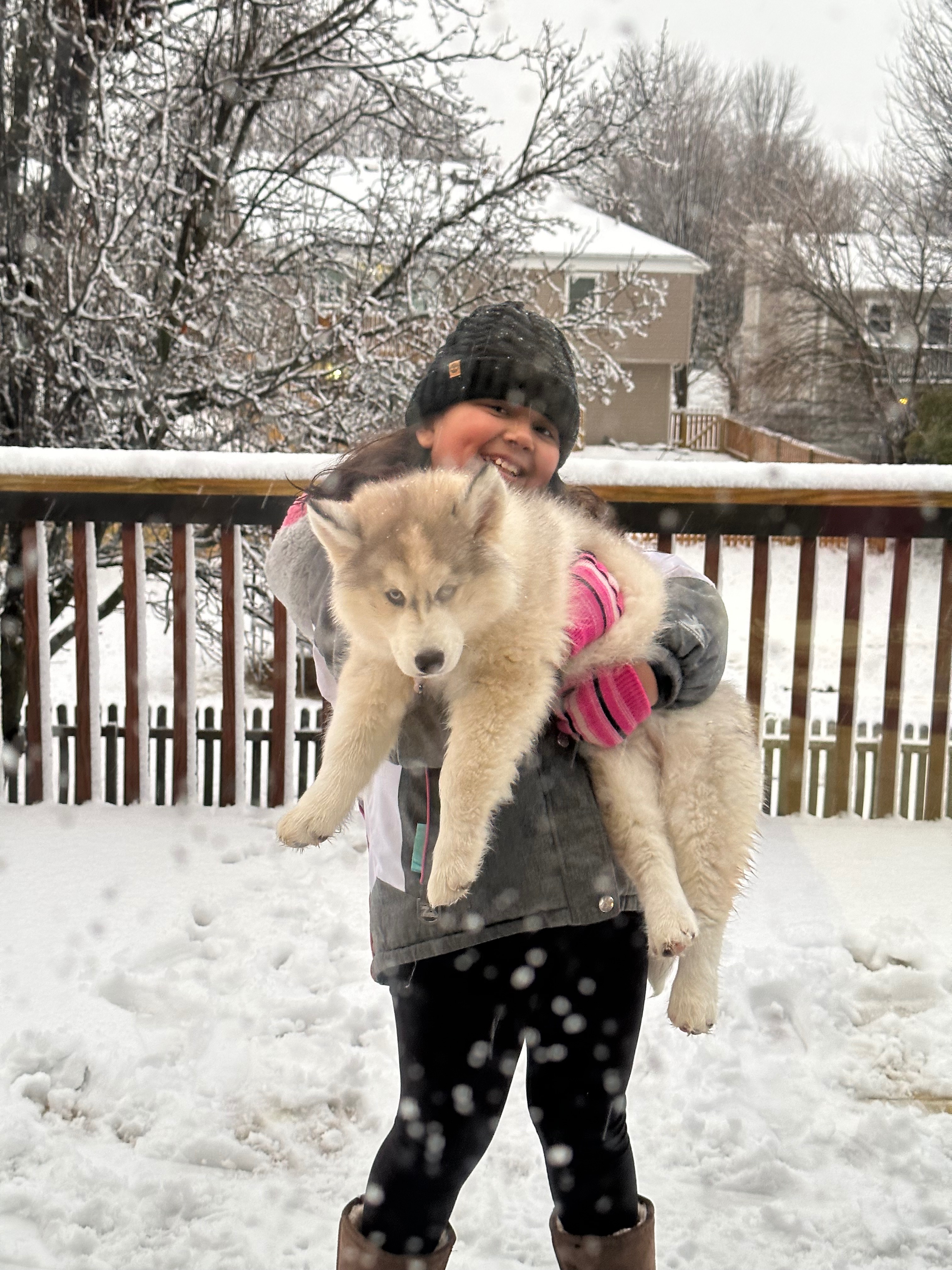 Help Winter Run Again: Support Her Surgery campaign photo, 2 of 5