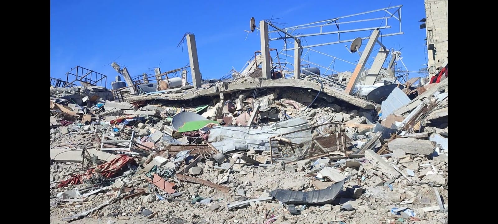 User-uploaded image 1