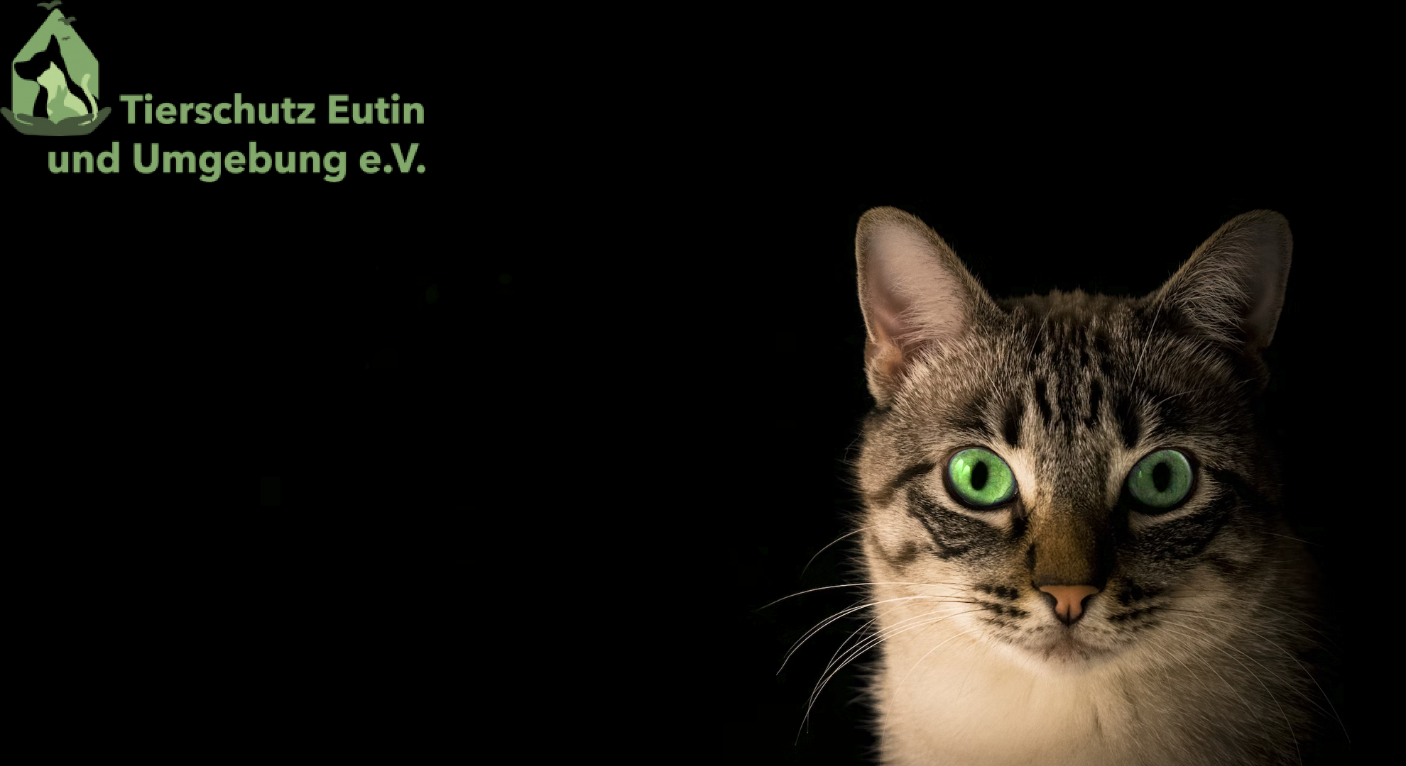 User-uploaded image 1