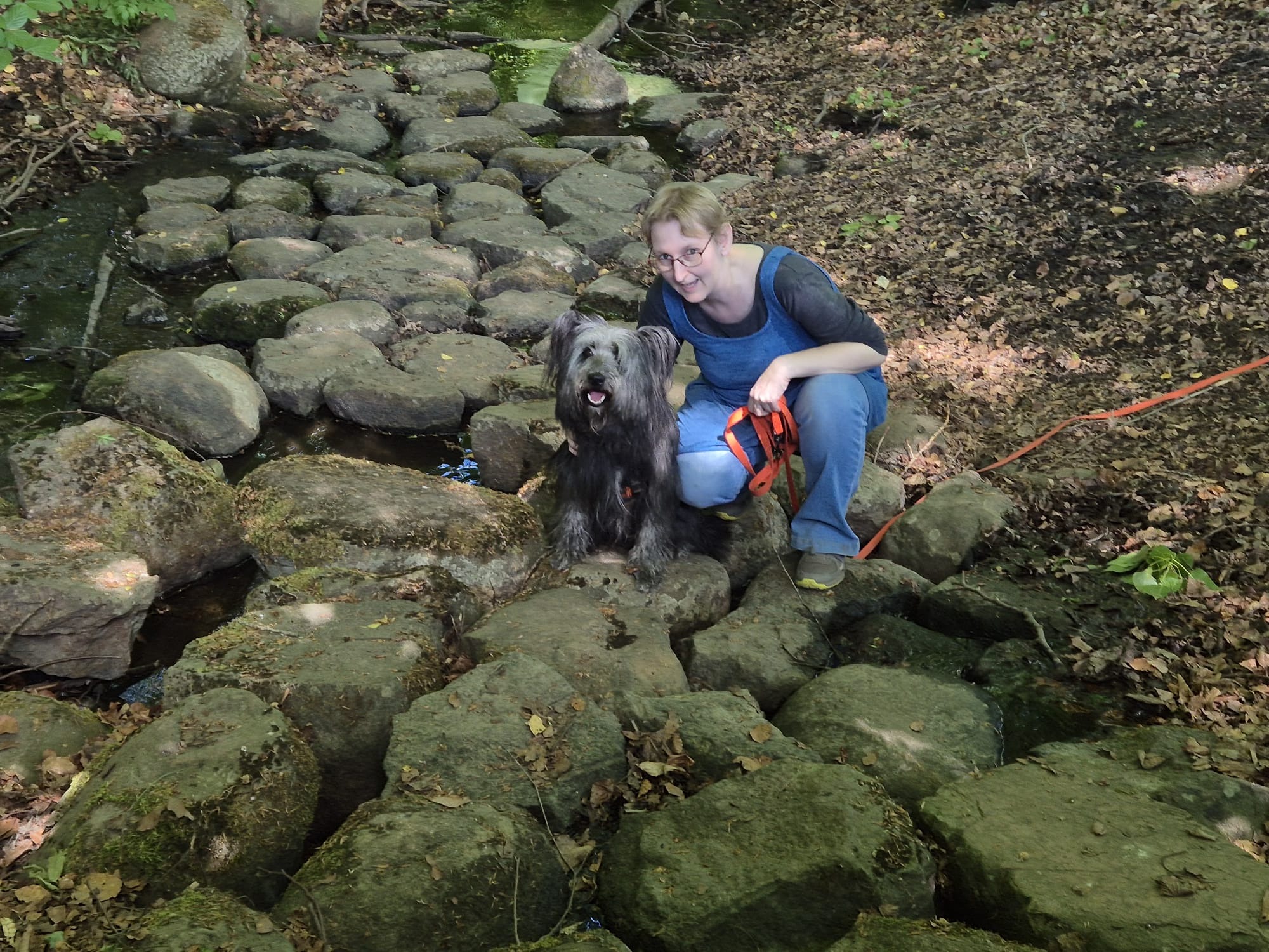 User-uploaded image 1