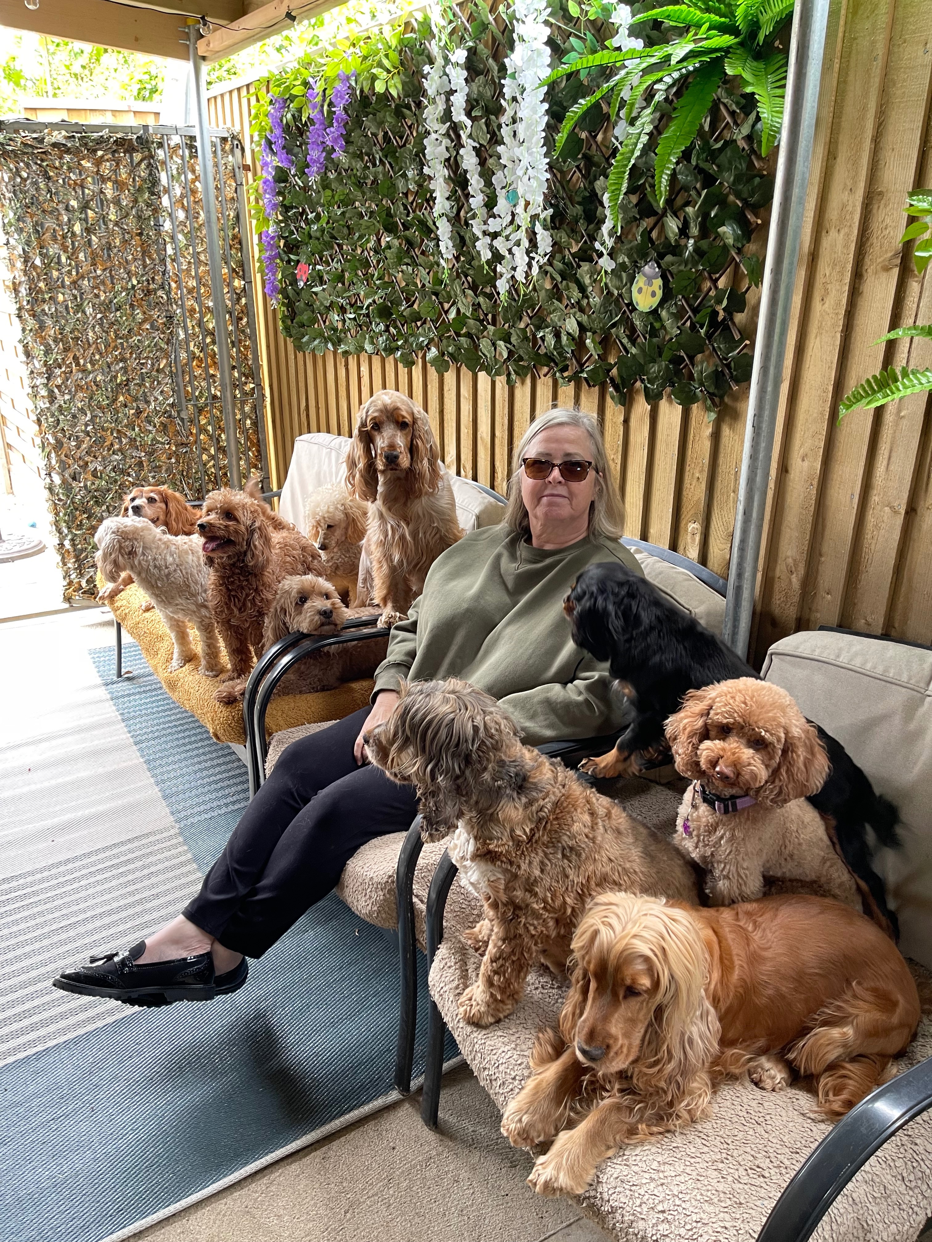 Please help save my dogs campaign photo, 4 of 5