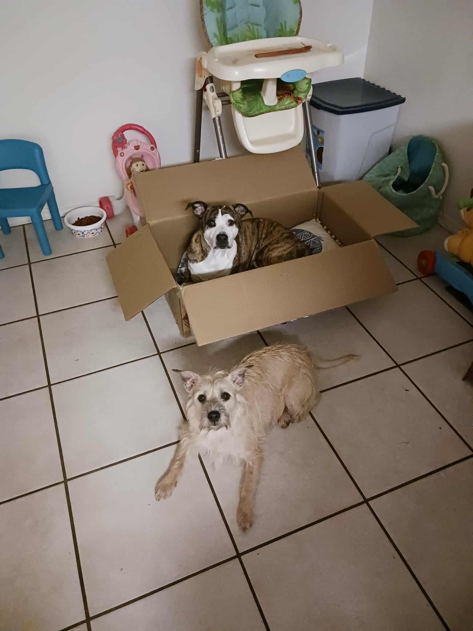 Help Our Family Start Fresh With A Safe Home campaign photo, 2 of 8