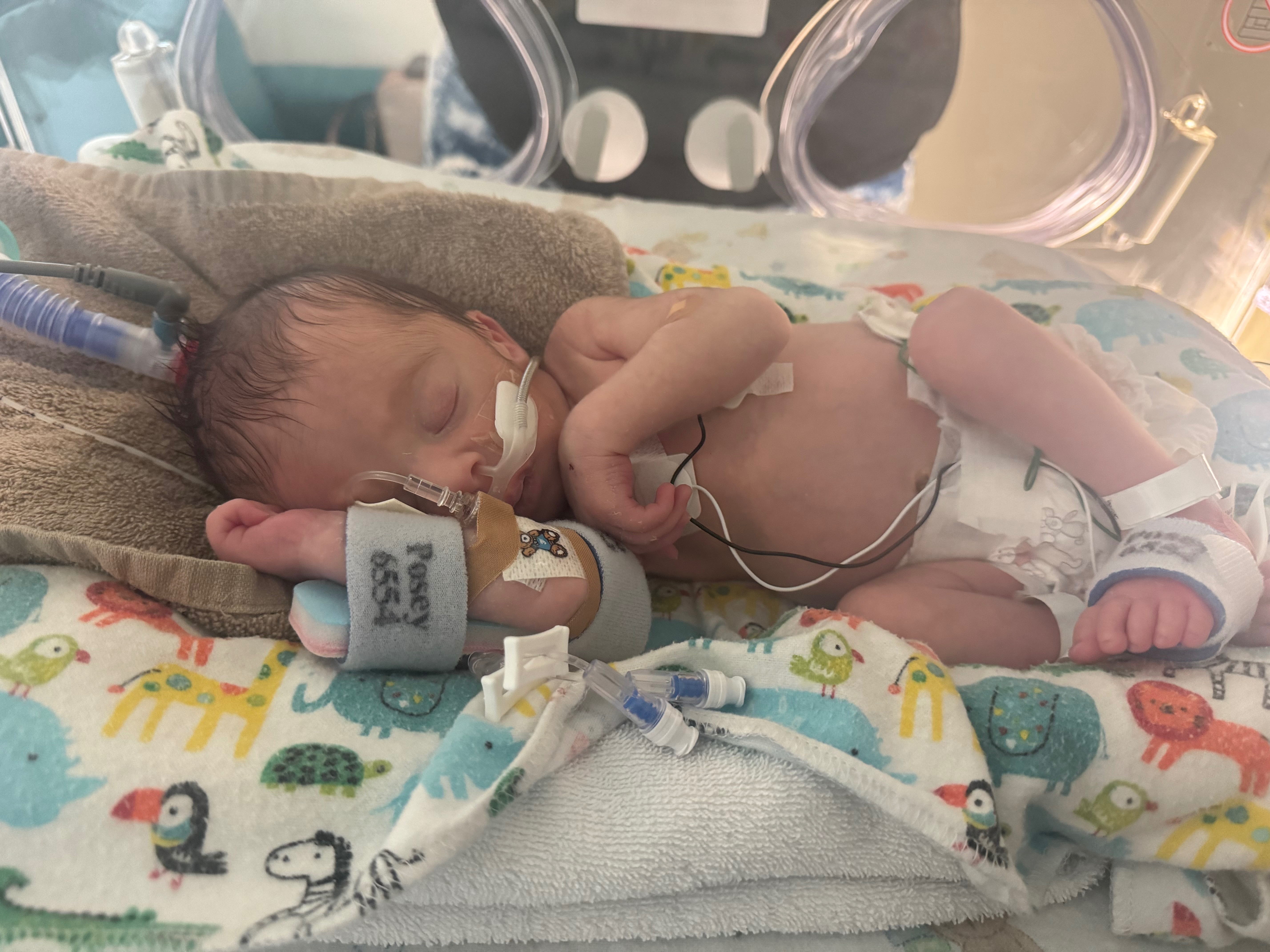 User-uploaded image 1