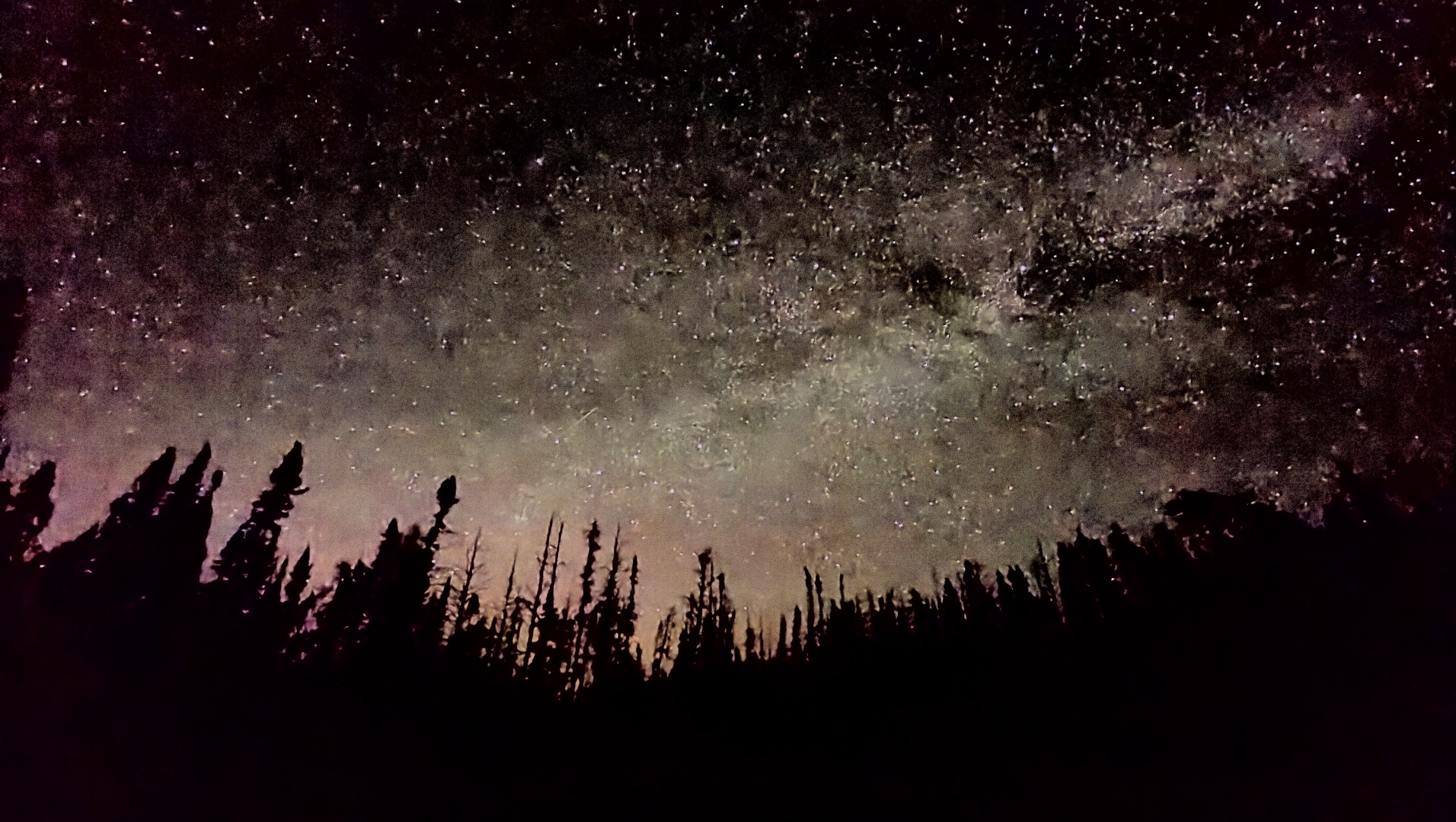 Let's help our friend out during this tough time! photo