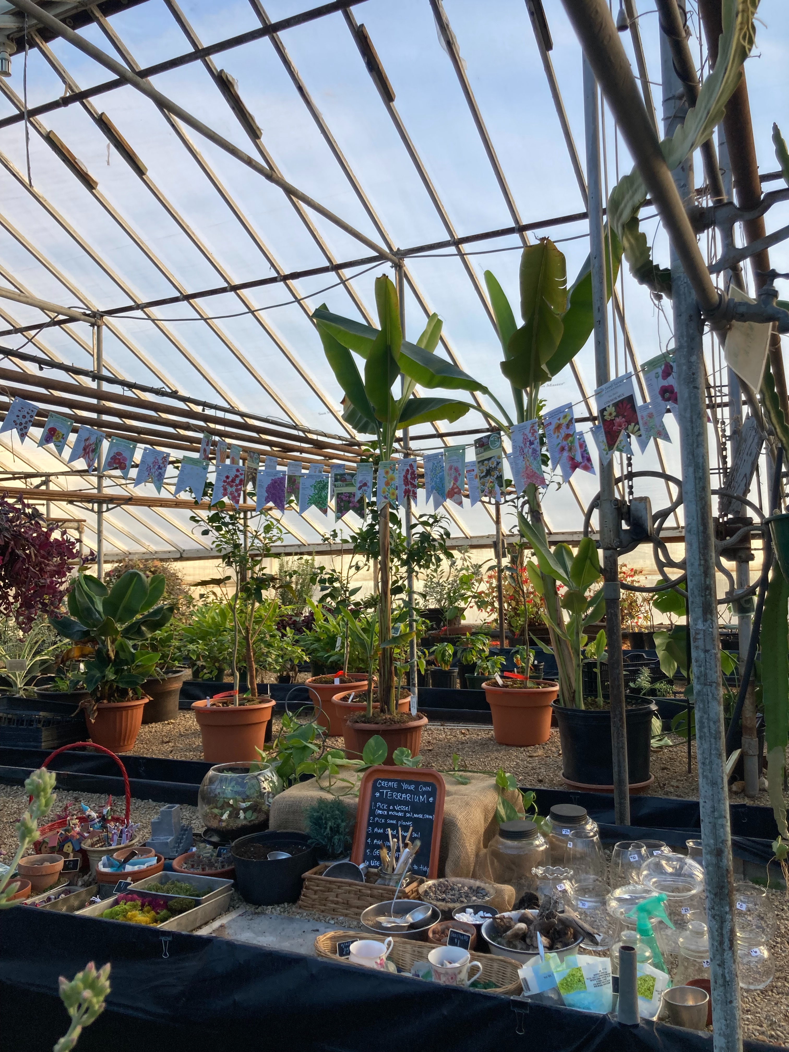 User-uploaded image 1