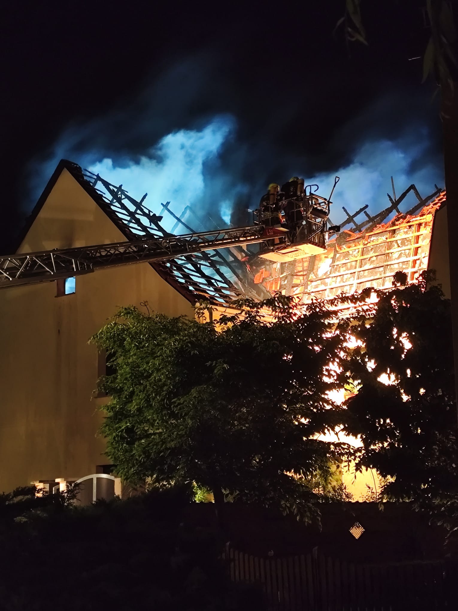 User-uploaded image 1