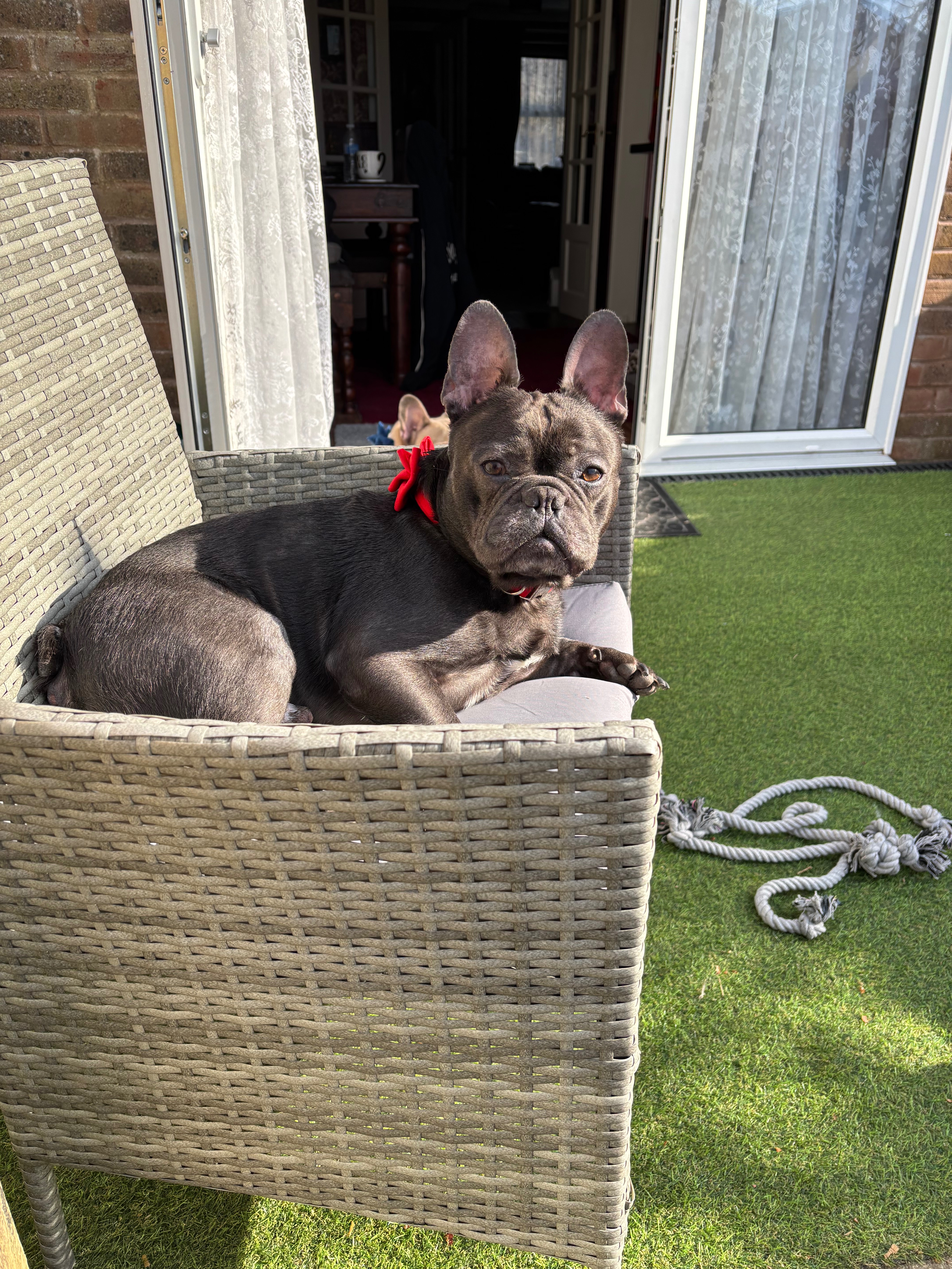 User-uploaded image 1