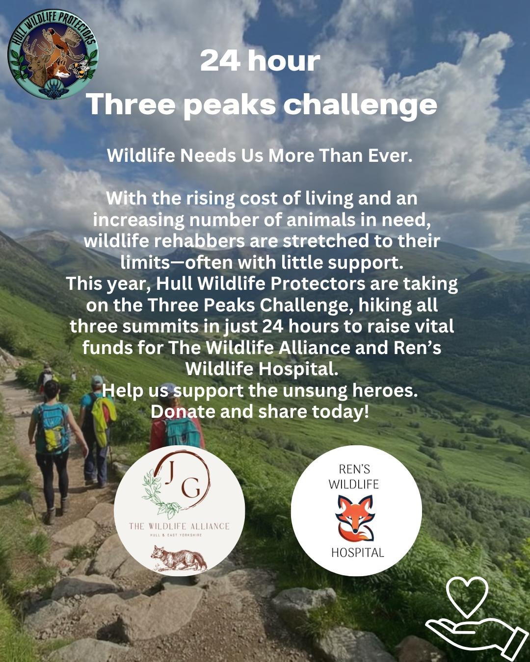 User-uploaded image 1