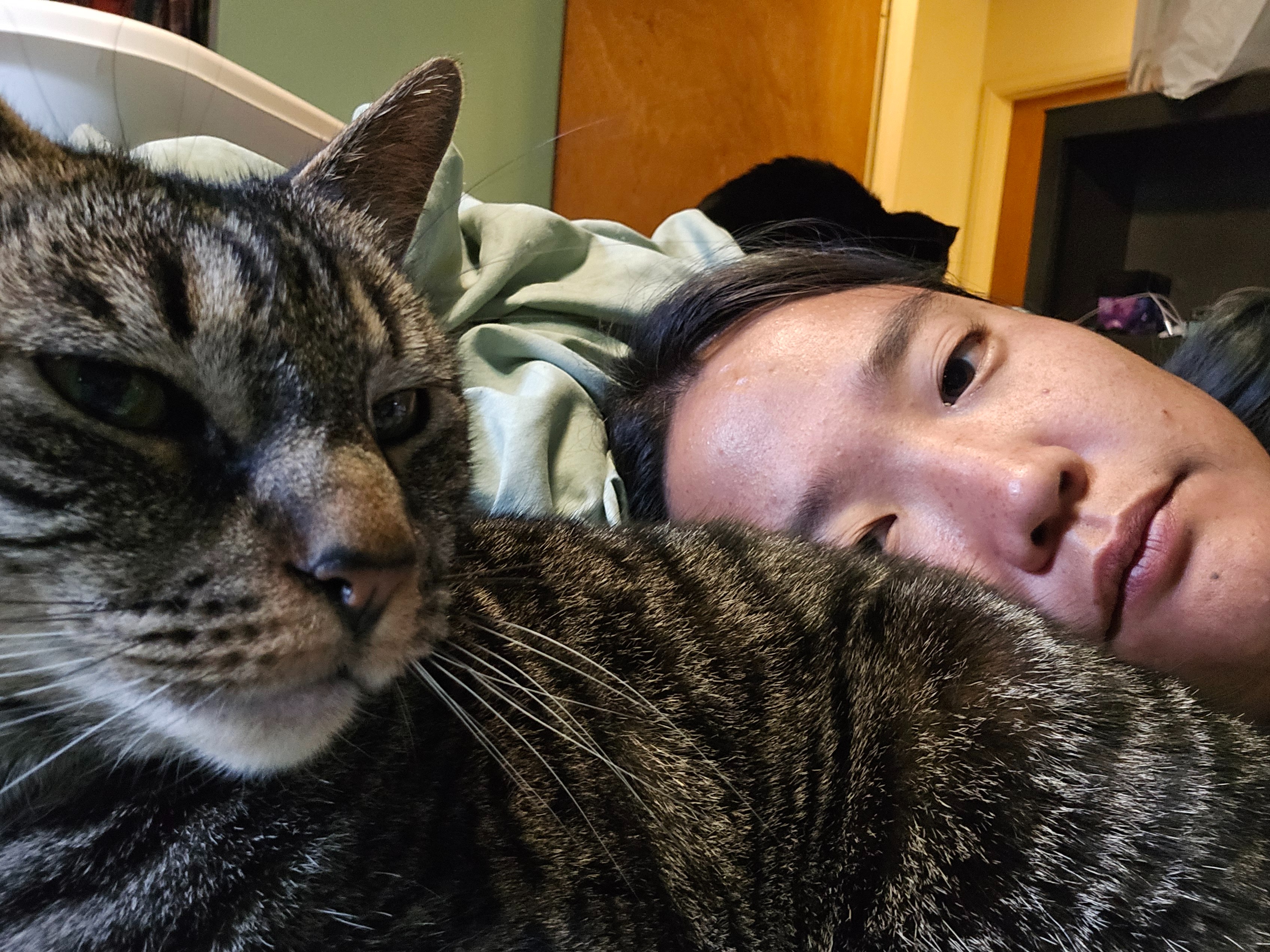 User-uploaded image 1