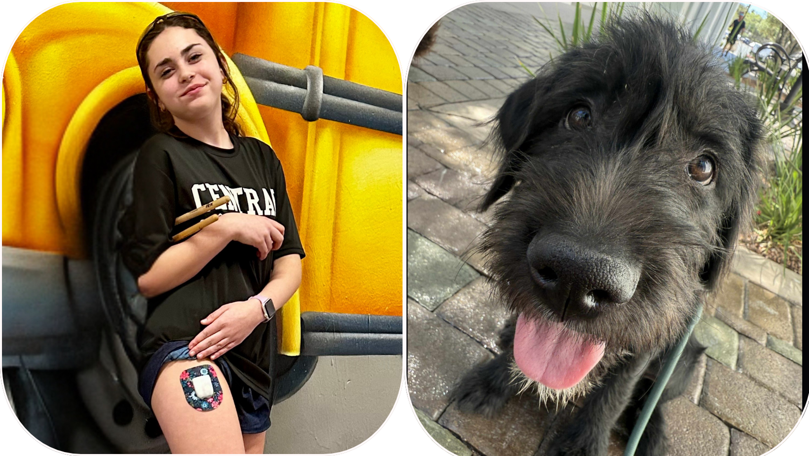Raising for Ranger: A Lifesaving Companion for Josie campaign photo, 2 of 6