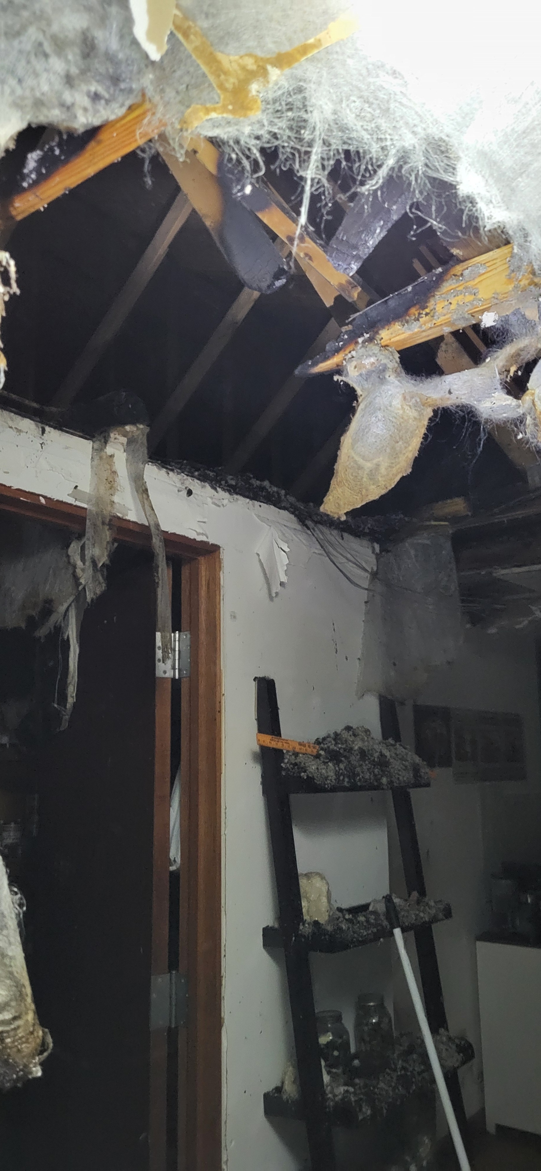 Fire Recovery: Bible College Fund campaign photo, 4 of 7