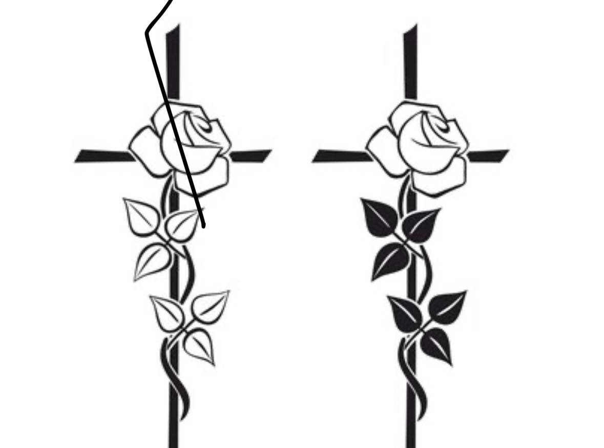 User-uploaded image 1