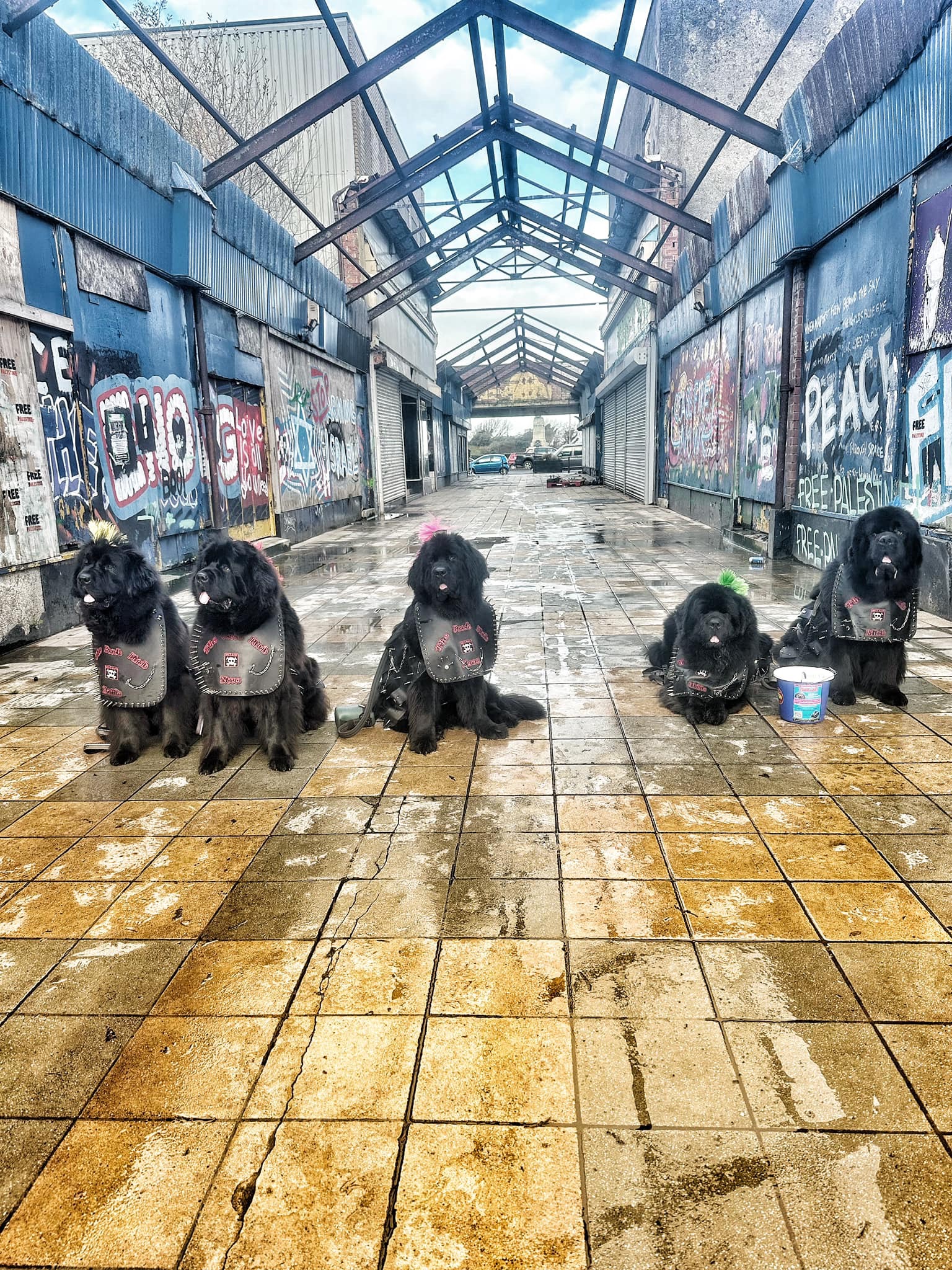 User-uploaded image 1