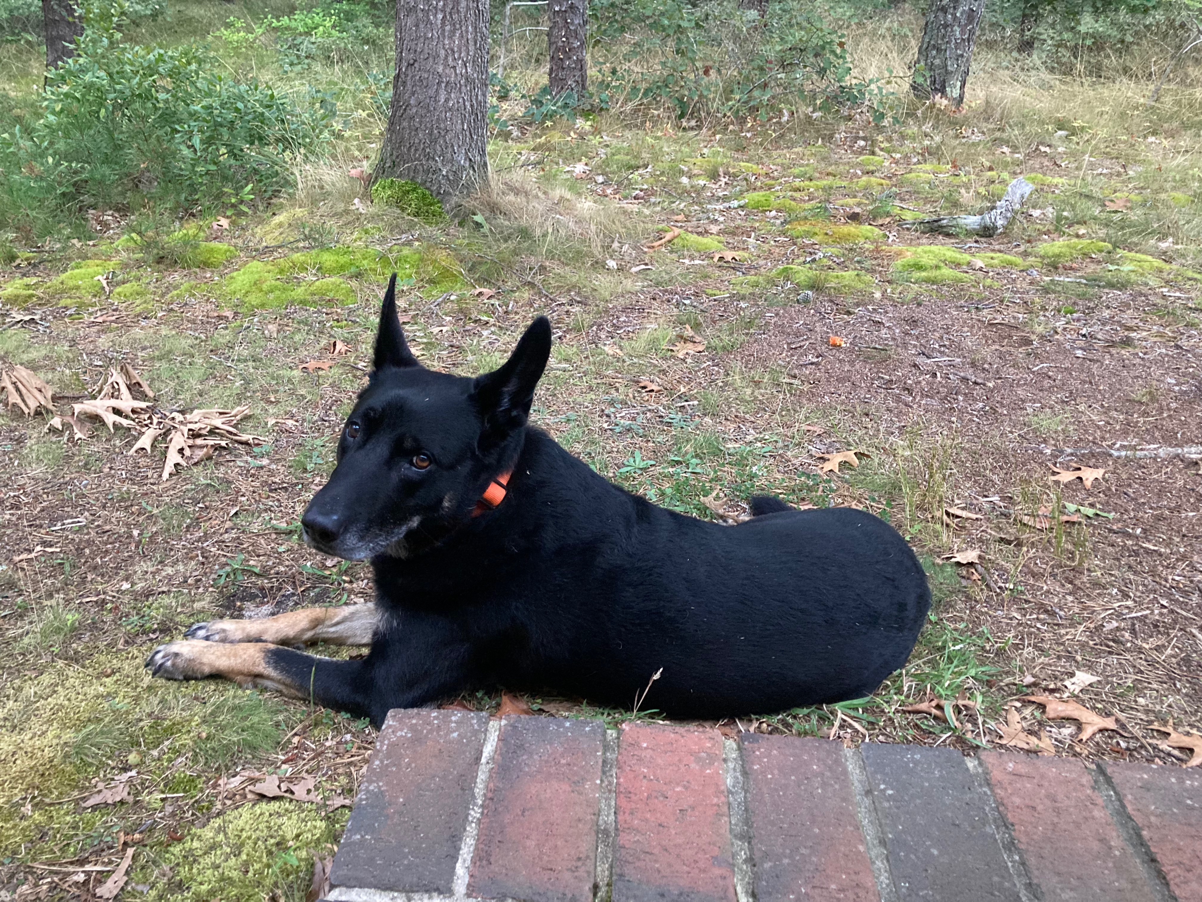 User-uploaded image 1