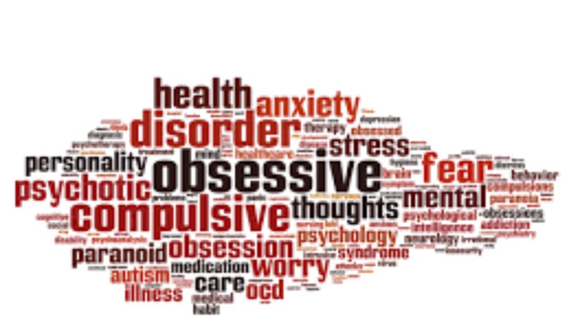 User-uploaded image 1