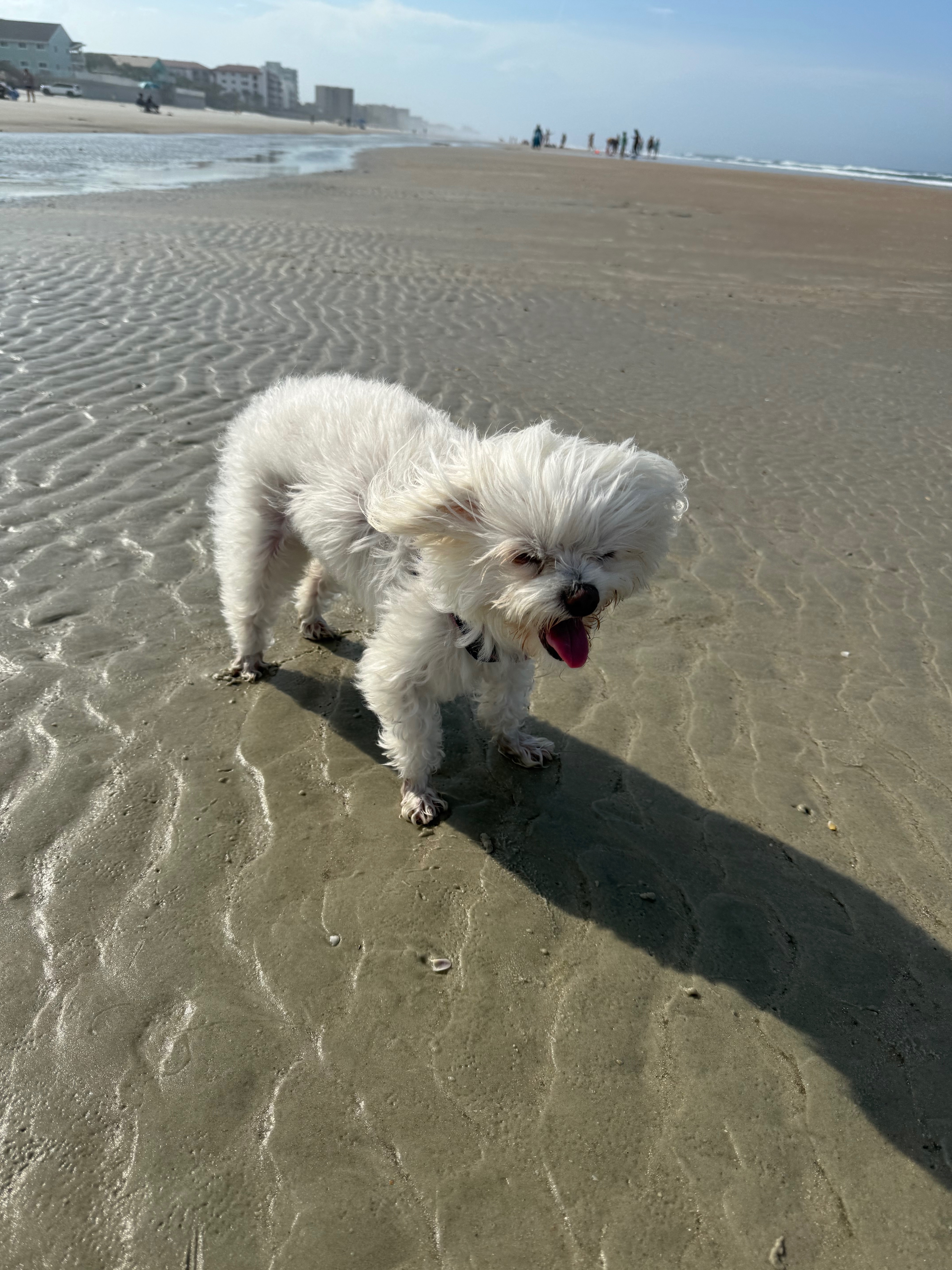 Support Nahla's Life-Saving Surgery campaign photo, 5 of 8