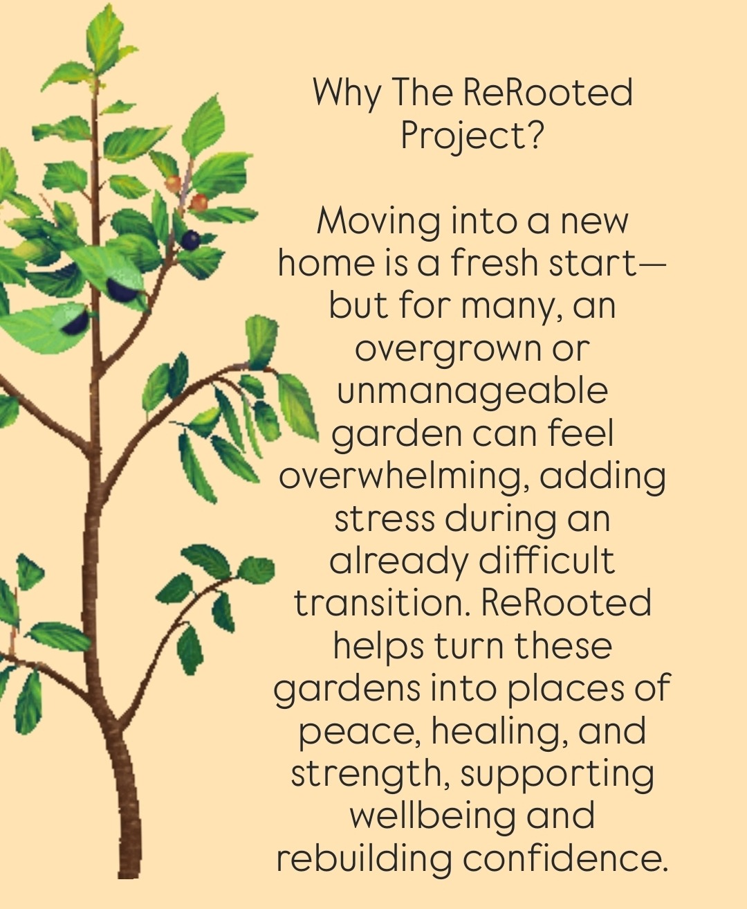 The ReRooted Project campaign photo, 4 of 8