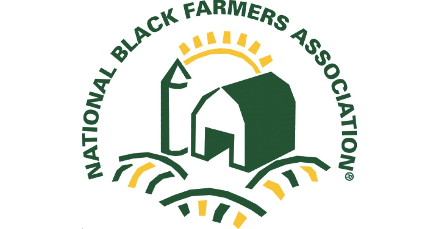 User-uploaded image 1