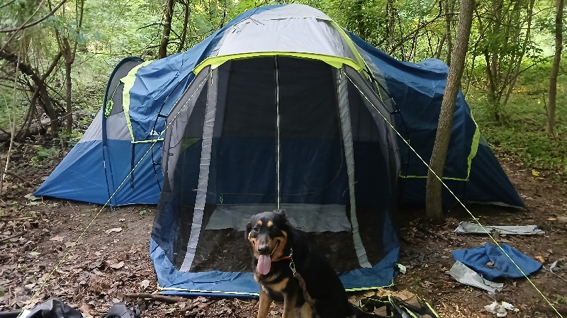 Fundraiser by Jim Lange : Help Jim and Rommel Rebuild Their Home