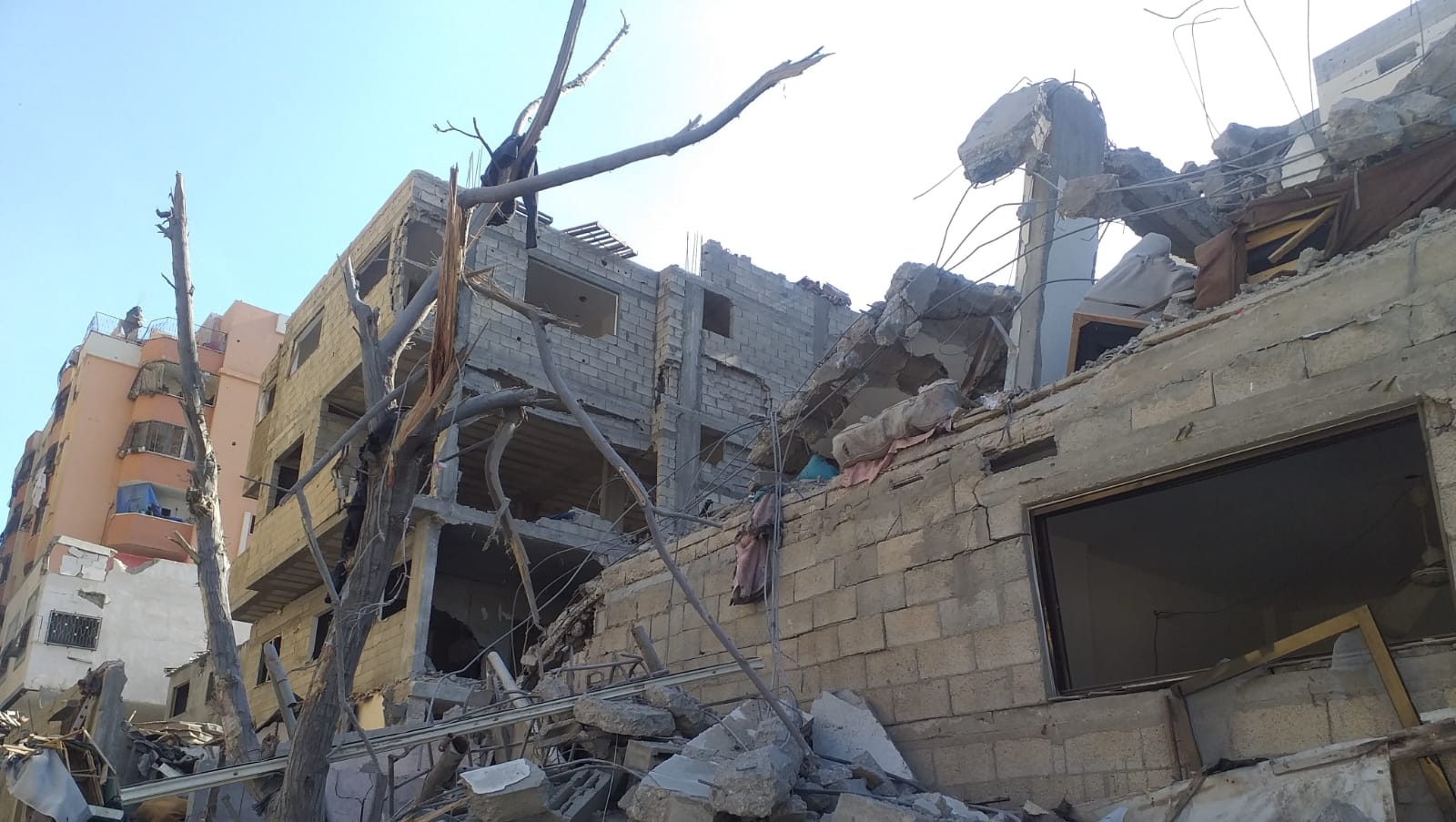 "Stand With My Family in Gaza-They Took Everything but Hope" photo