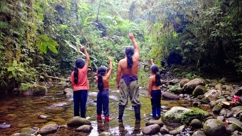 Clean Lands and Waters in the Amazon for a Free Future. campaign photo, 4 of 5