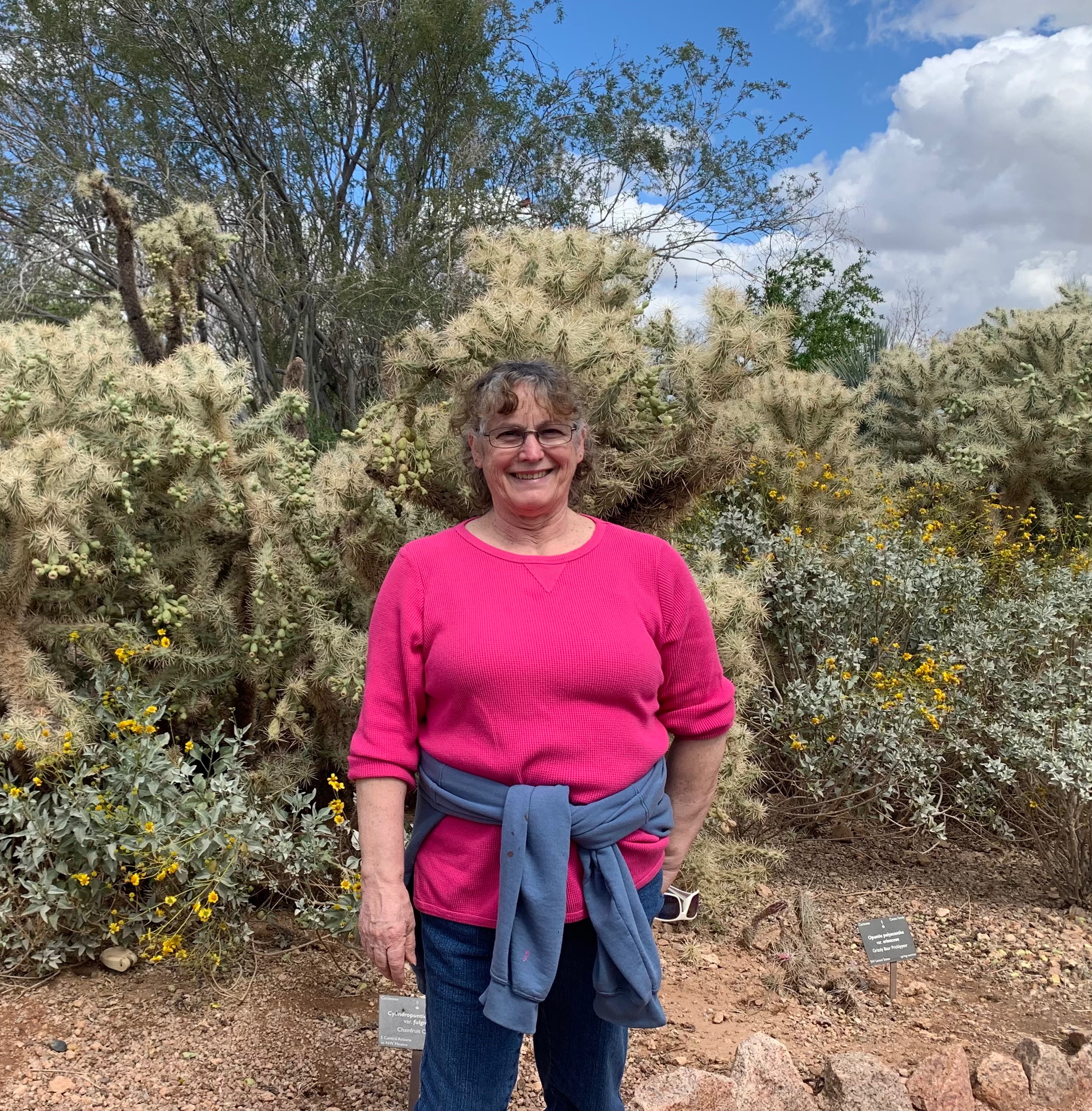 Support Dianne's Fight Against Rare Cancer campaign photo, 7 of 8