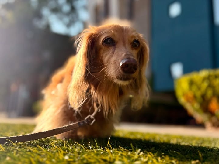 User-uploaded image 1