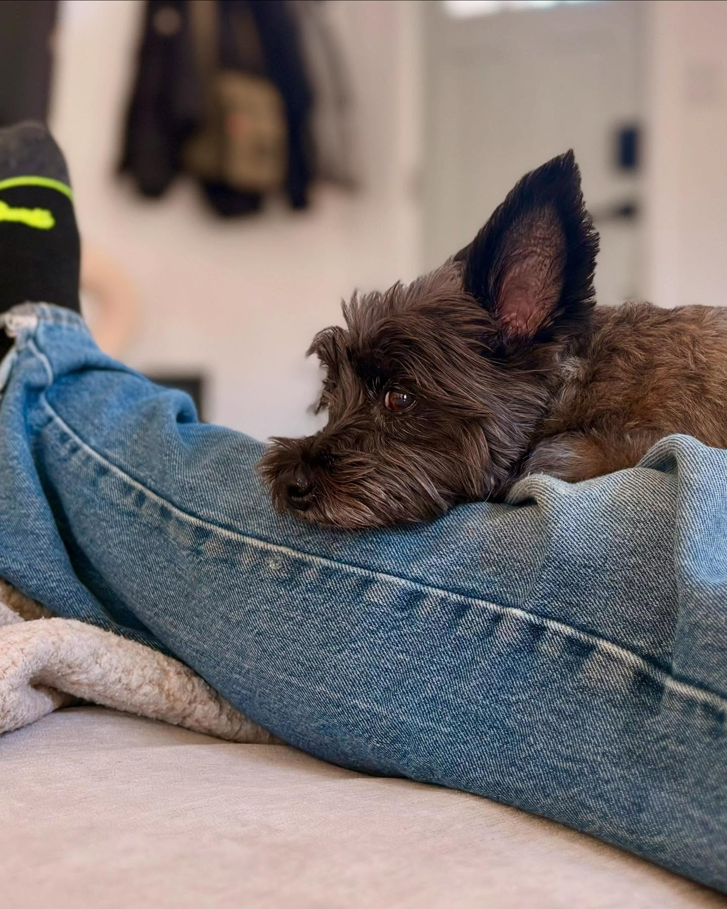 User-uploaded image 2