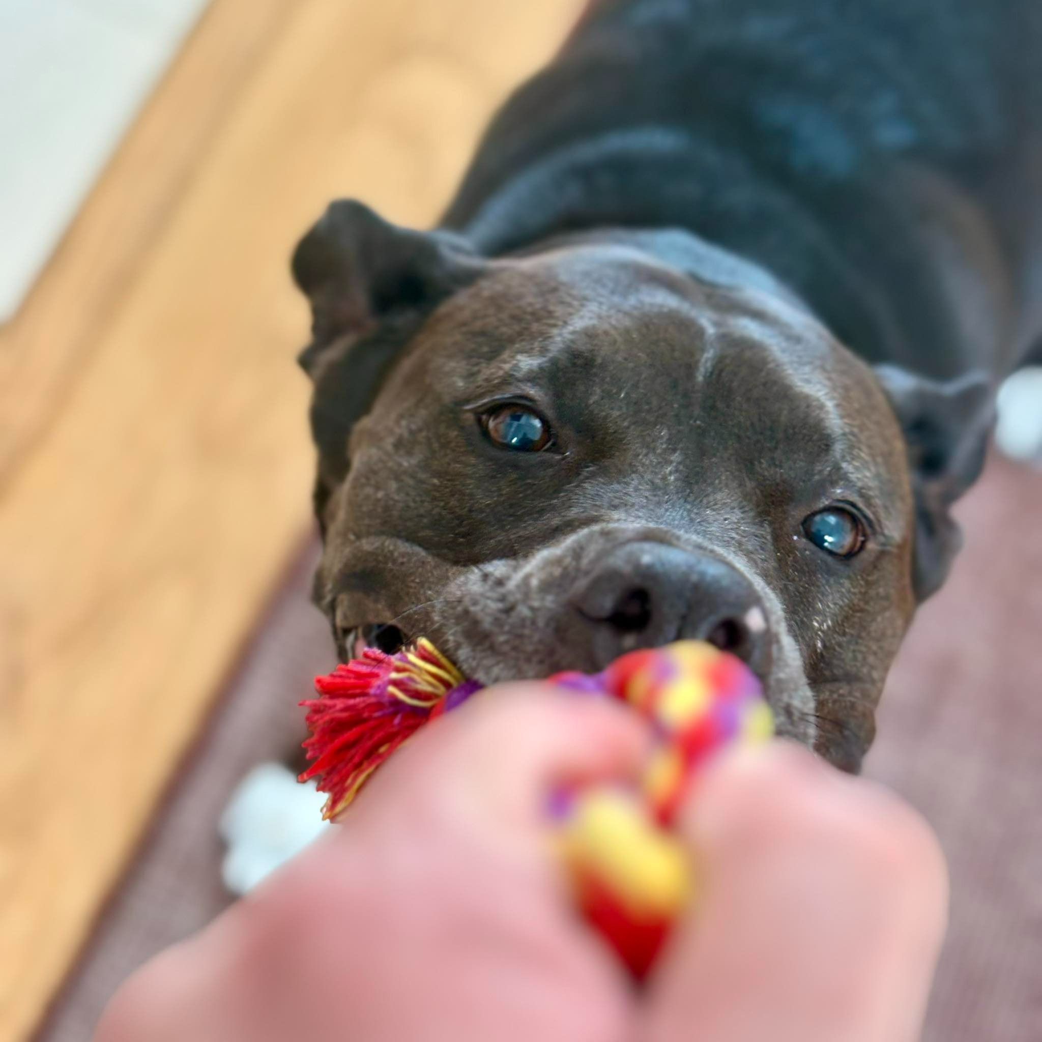 User-uploaded image 3