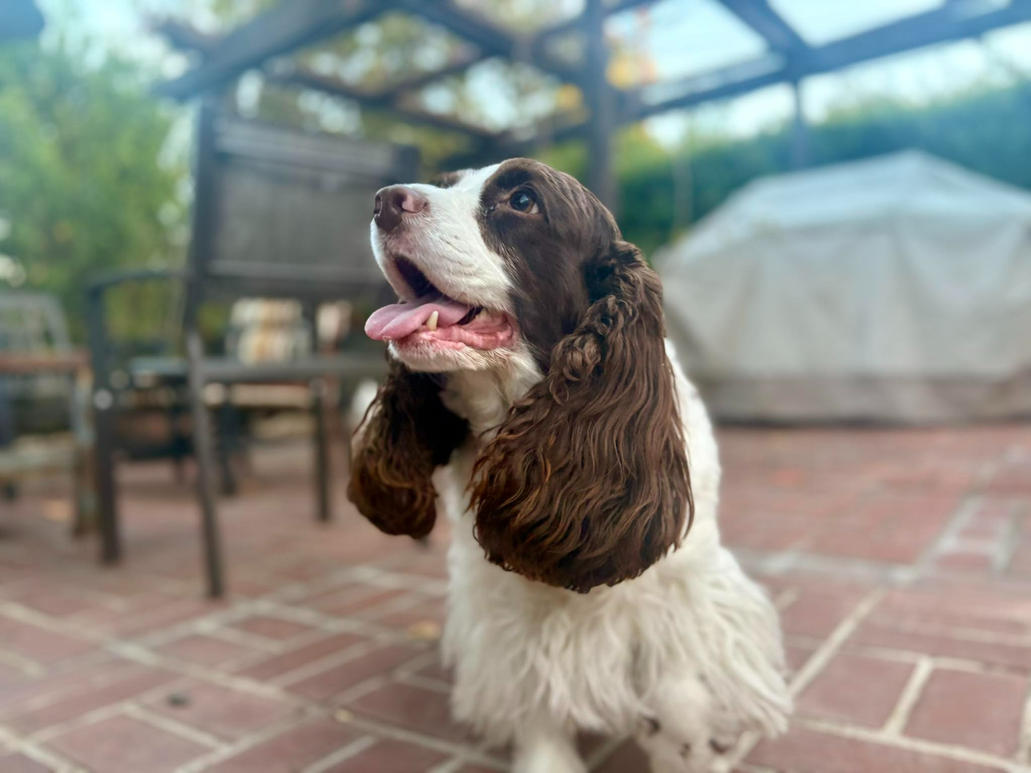 User-uploaded image 4