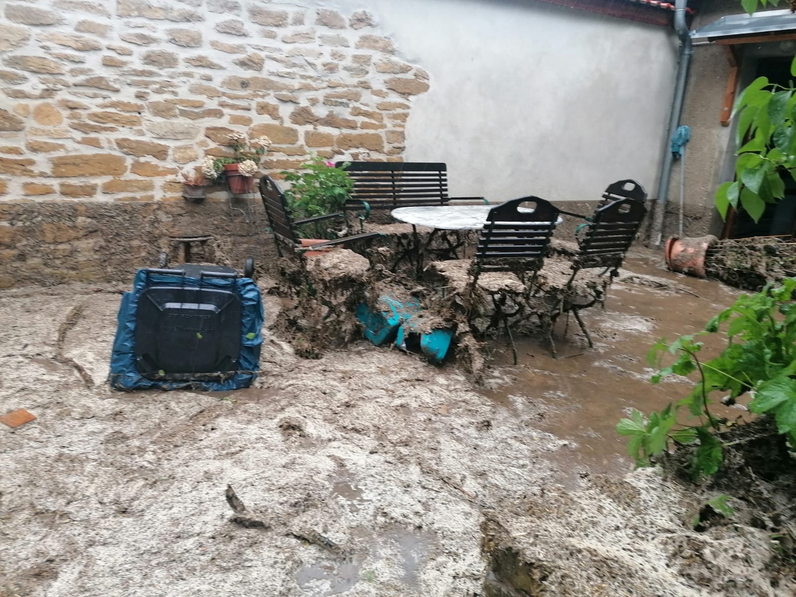 User-uploaded image 1