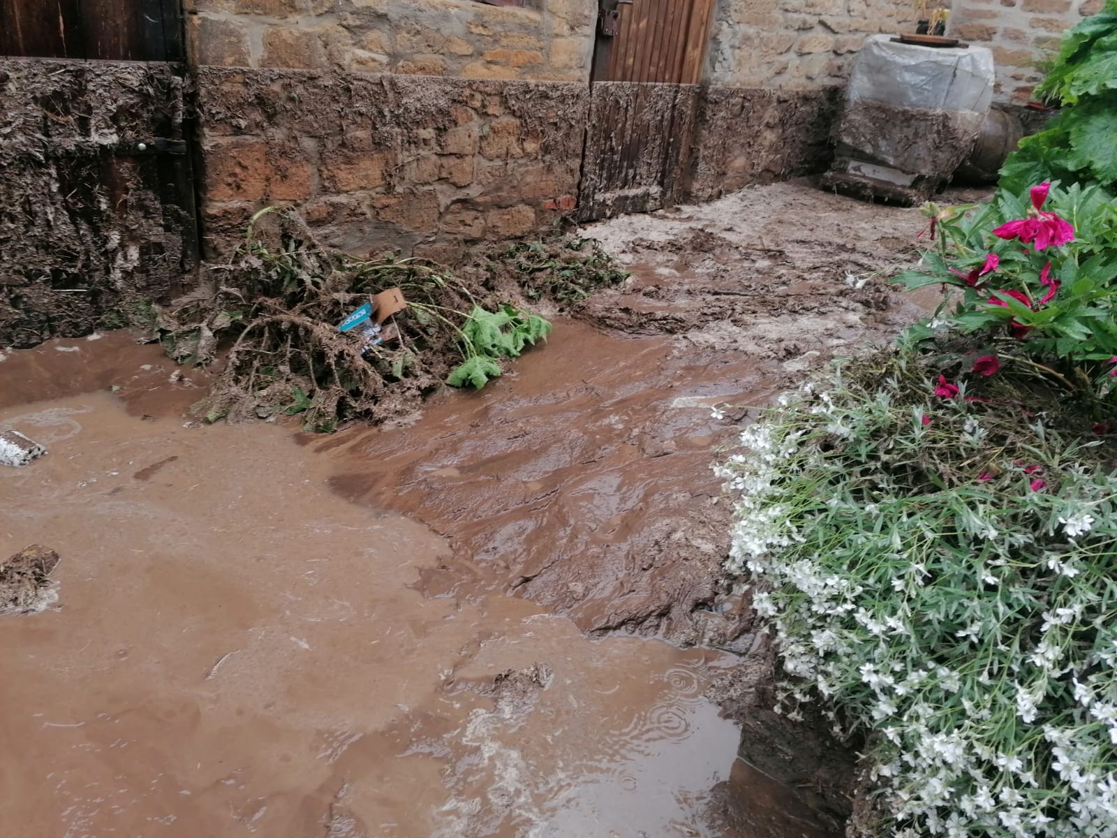 User-uploaded image 2