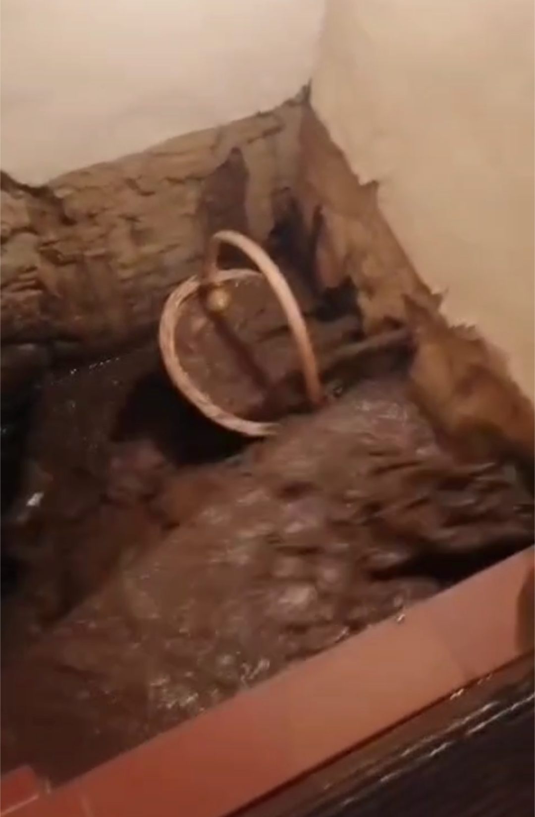 User-uploaded image 5