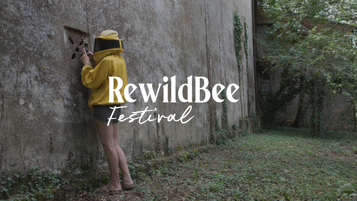 User-uploaded image 1