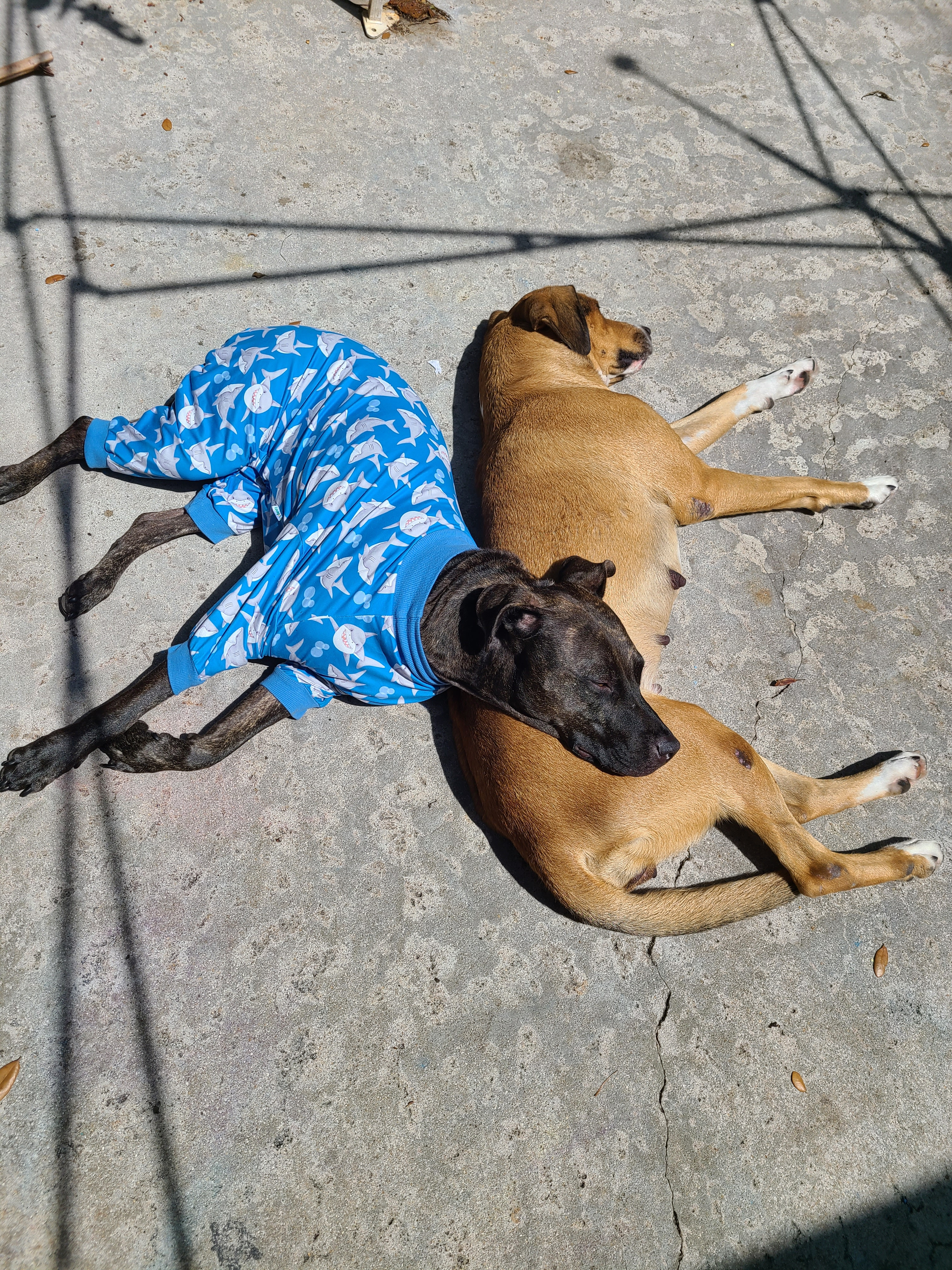 Help Tab's Family Avoid Homelessness campaign photo, 2 of 4