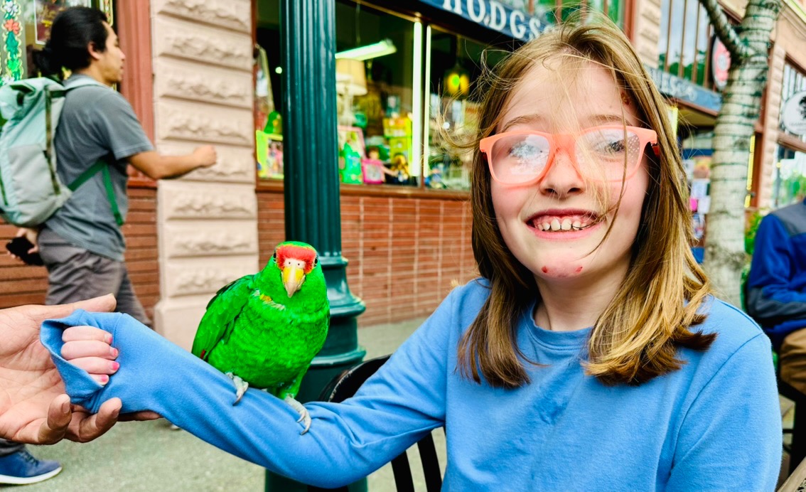 User-uploaded image 1