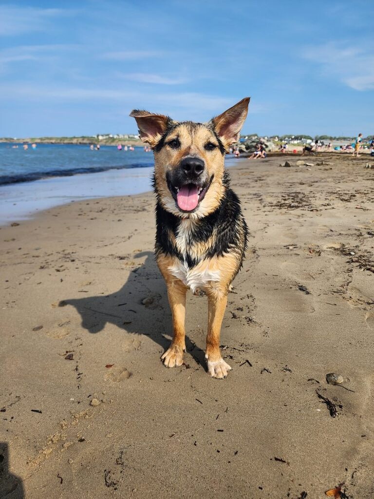 User-uploaded image 1