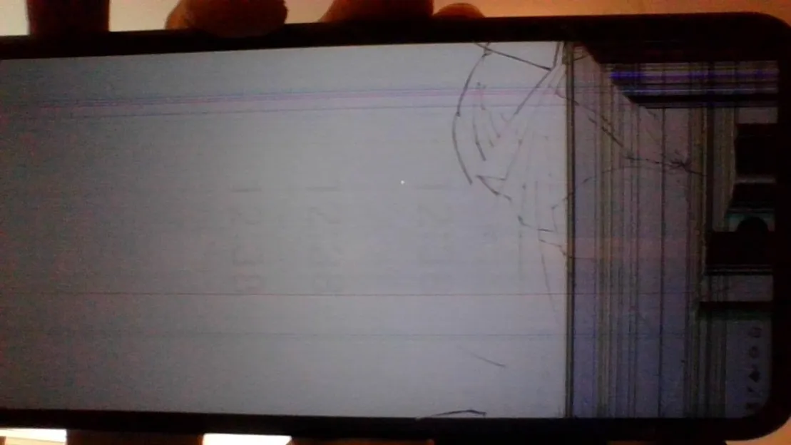 User-uploaded image 1