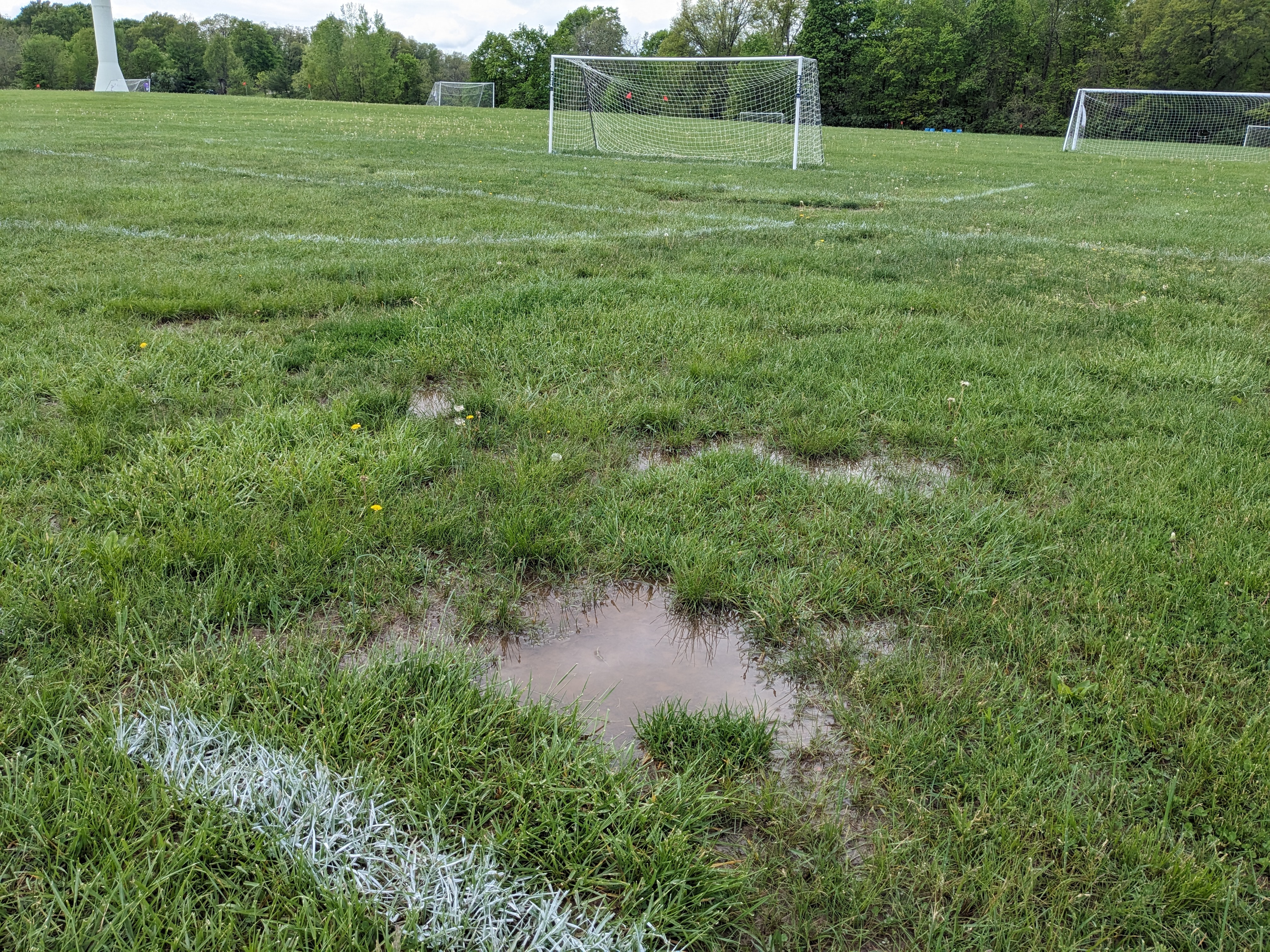 BCYA Roller Field Maintenance Equipment Needed ! campaign photo, 4 of 5