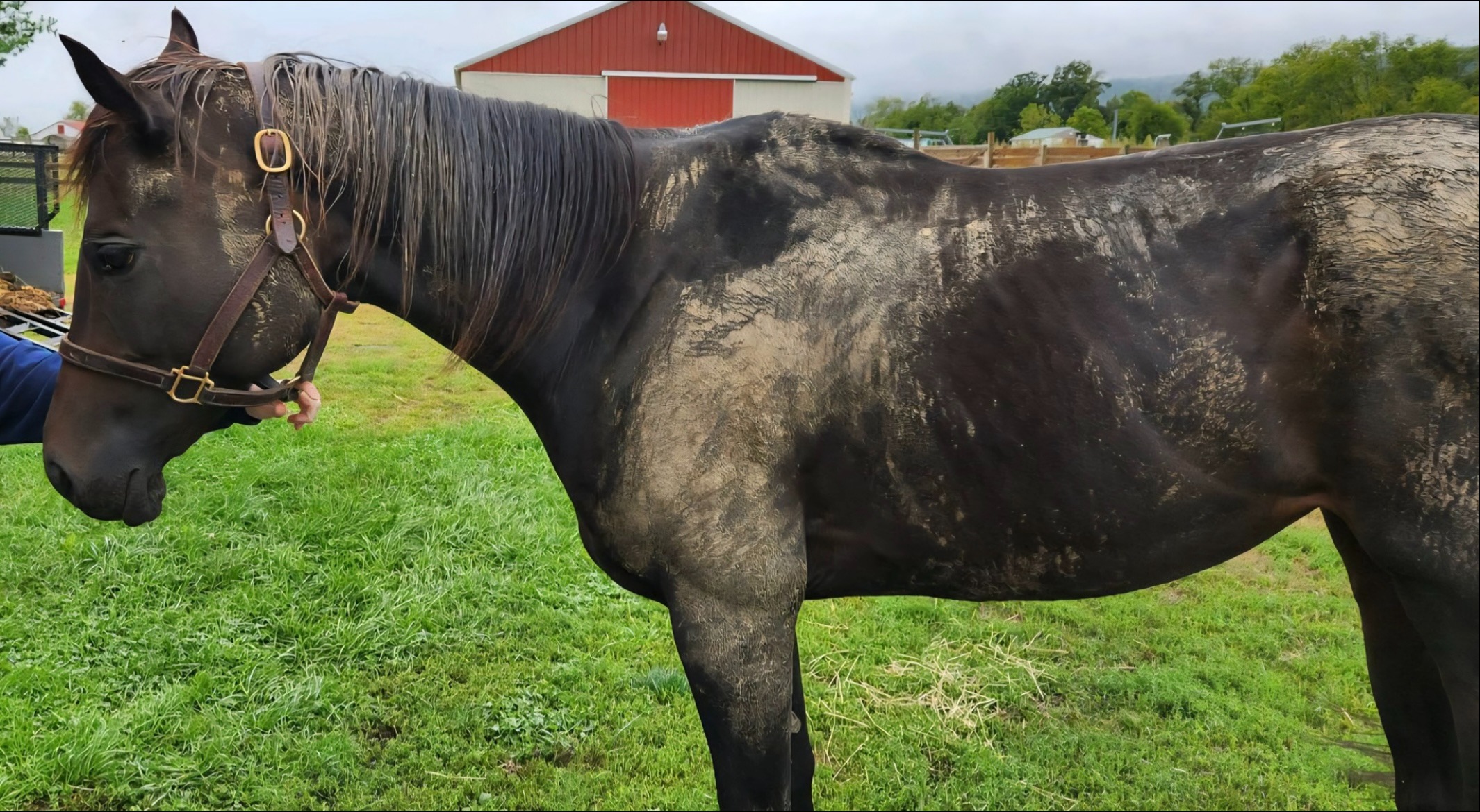 Join Rasha's Recovery: A Journey of Healing campaign photo, 7 of 8