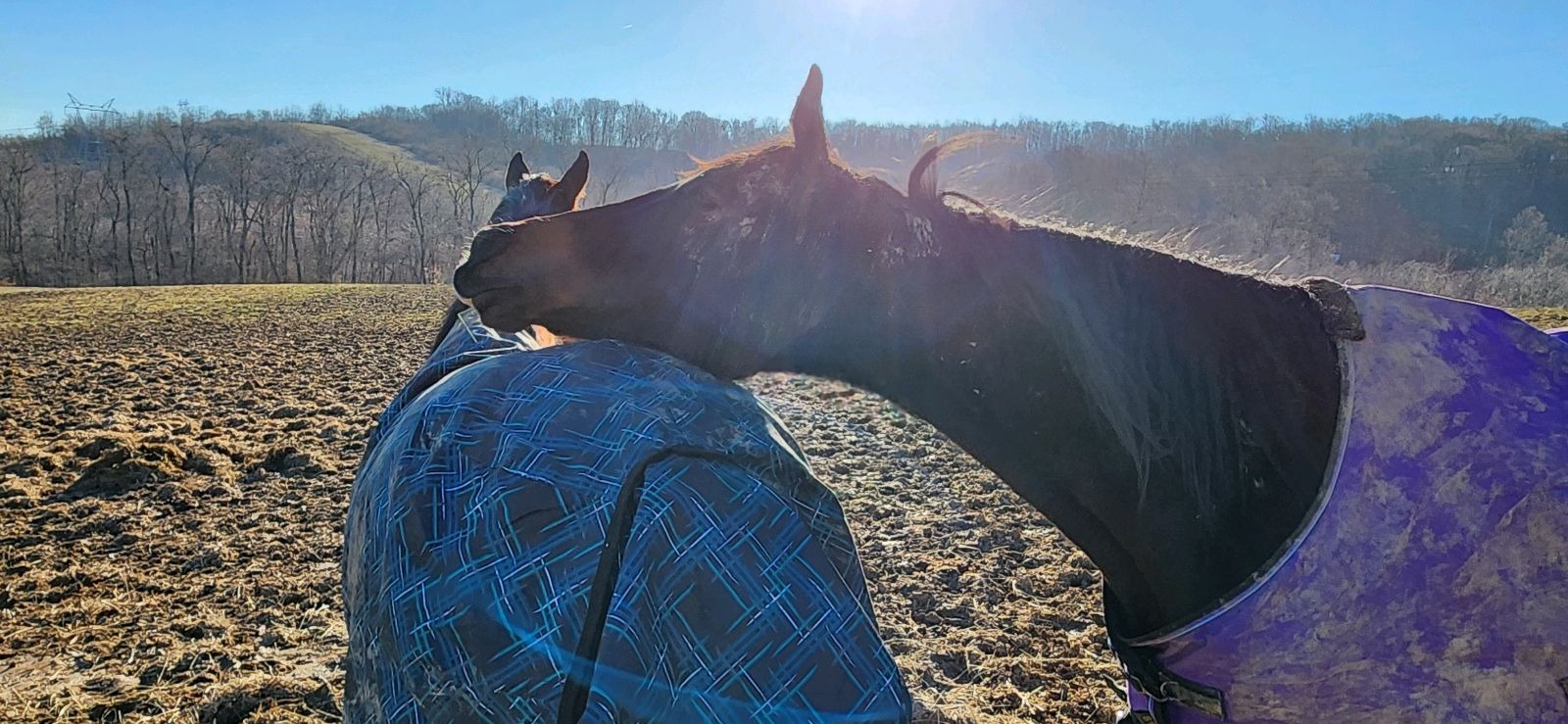 Join Rasha's Recovery: A Journey of Healing campaign photo, 4 of 8
