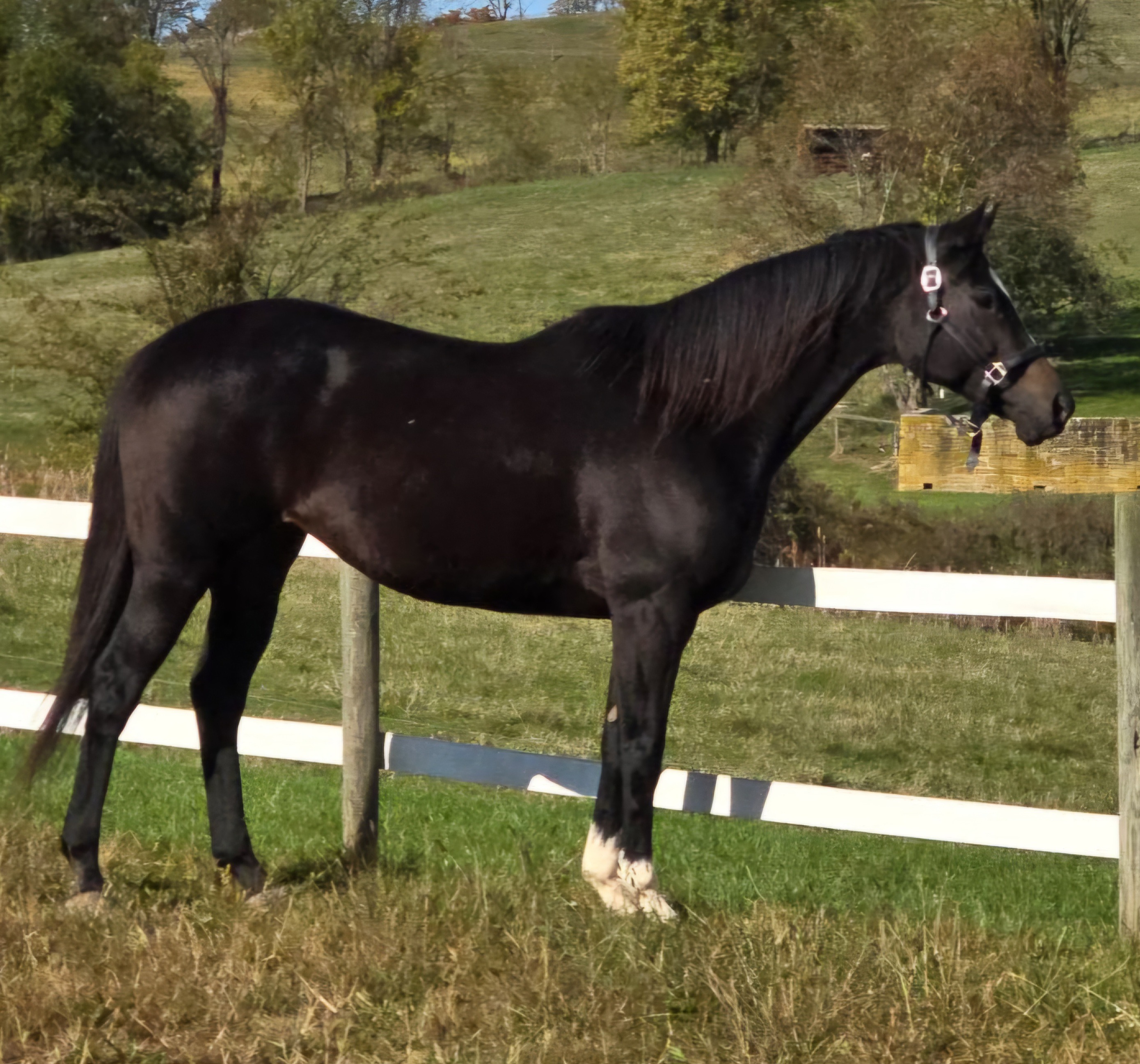 Join Rasha's Recovery: A Journey of Healing campaign photo, 5 of 8