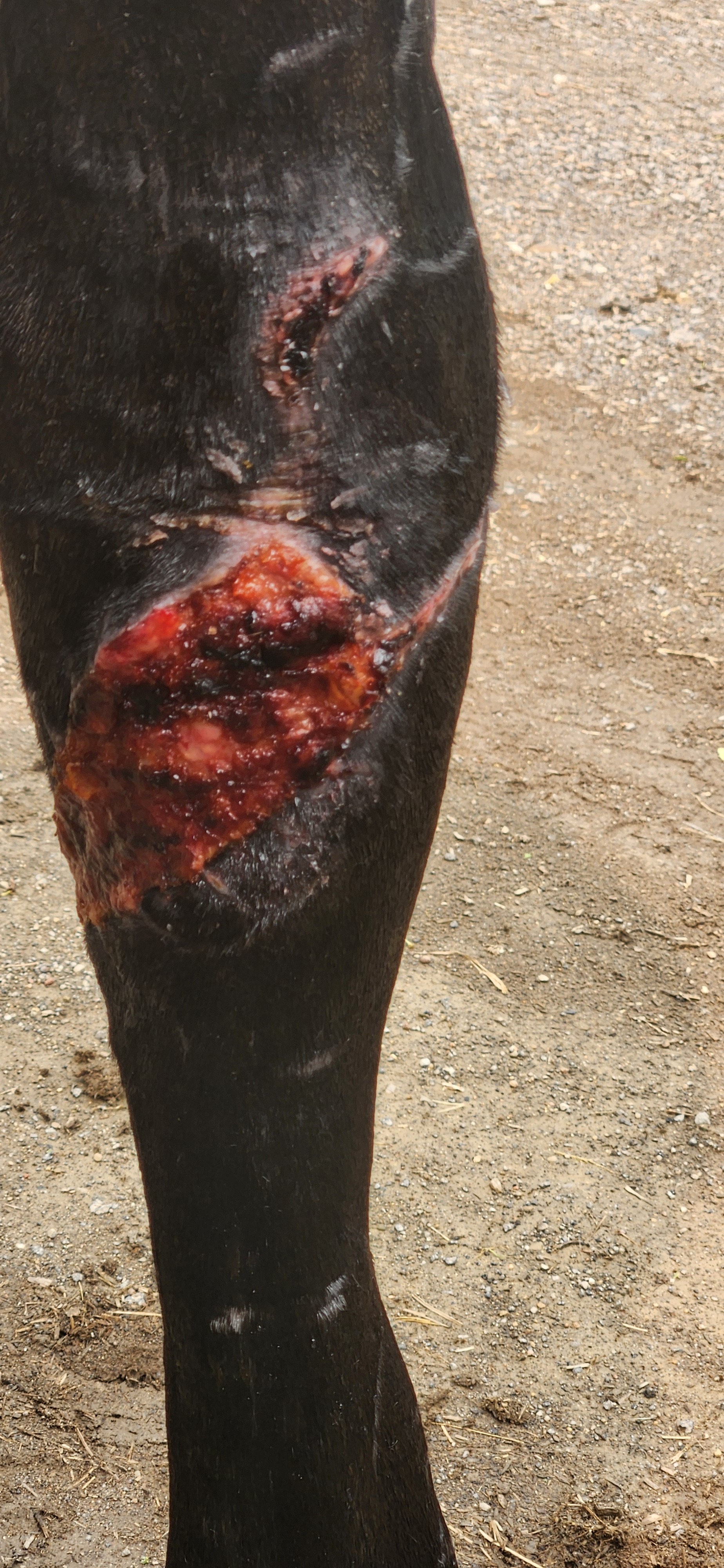 Join Rasha's Recovery: A Journey of Healing campaign photo, 6 of 8
