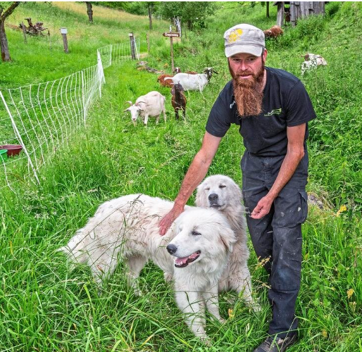 User-uploaded image 1