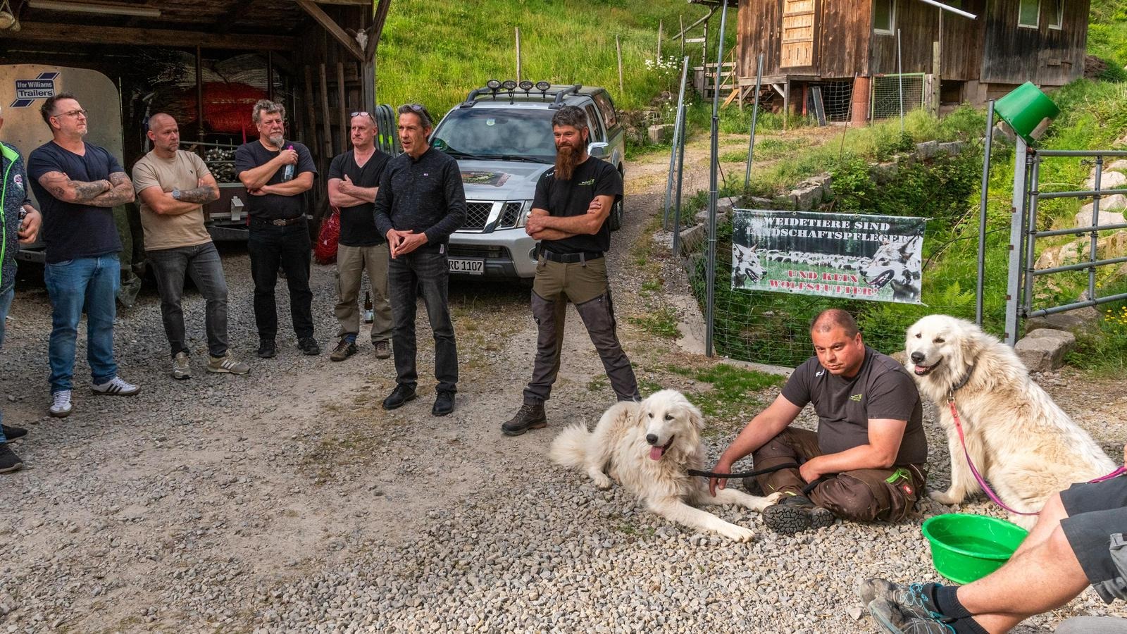 User-uploaded image 2