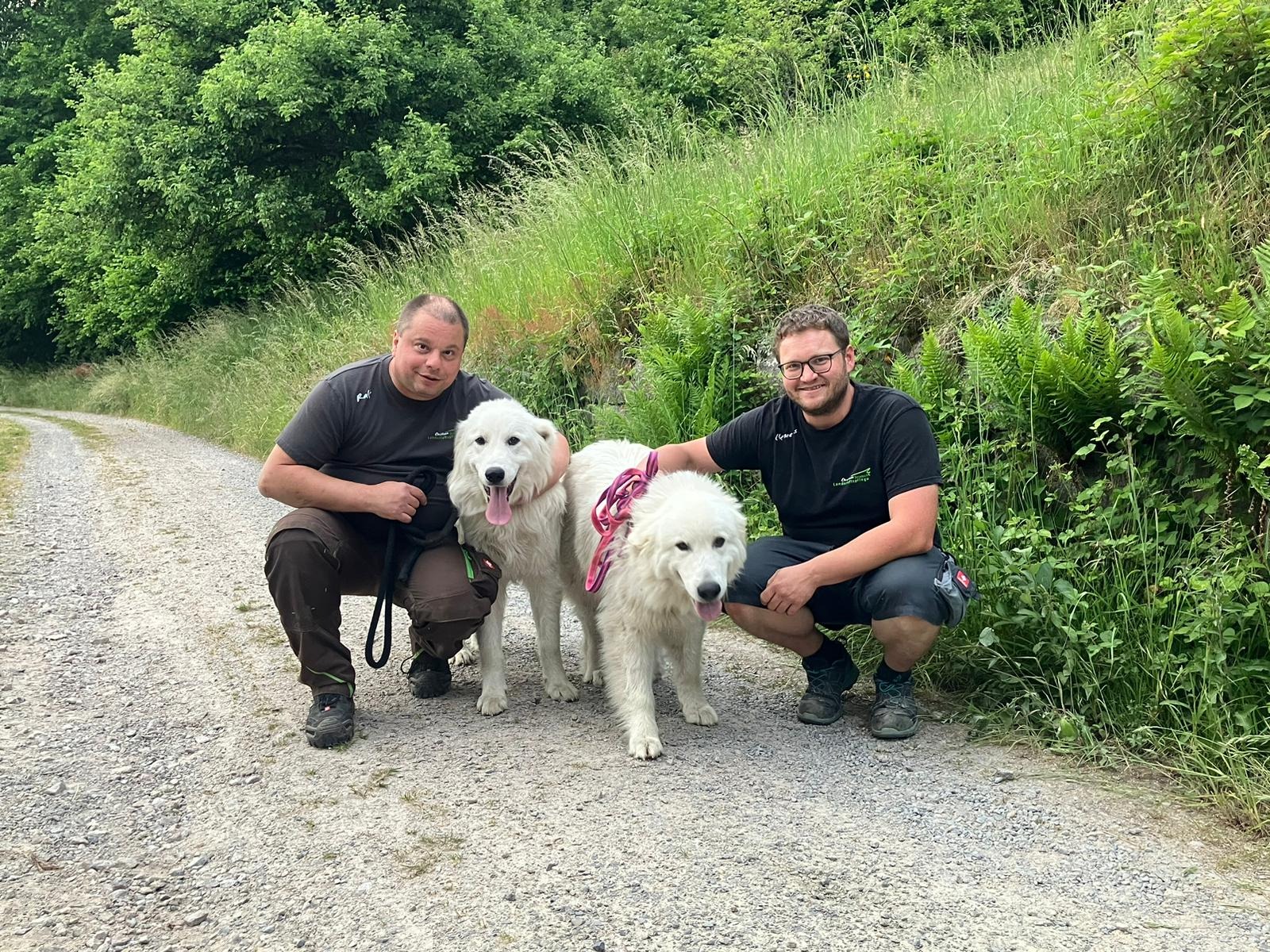 User-uploaded image 4