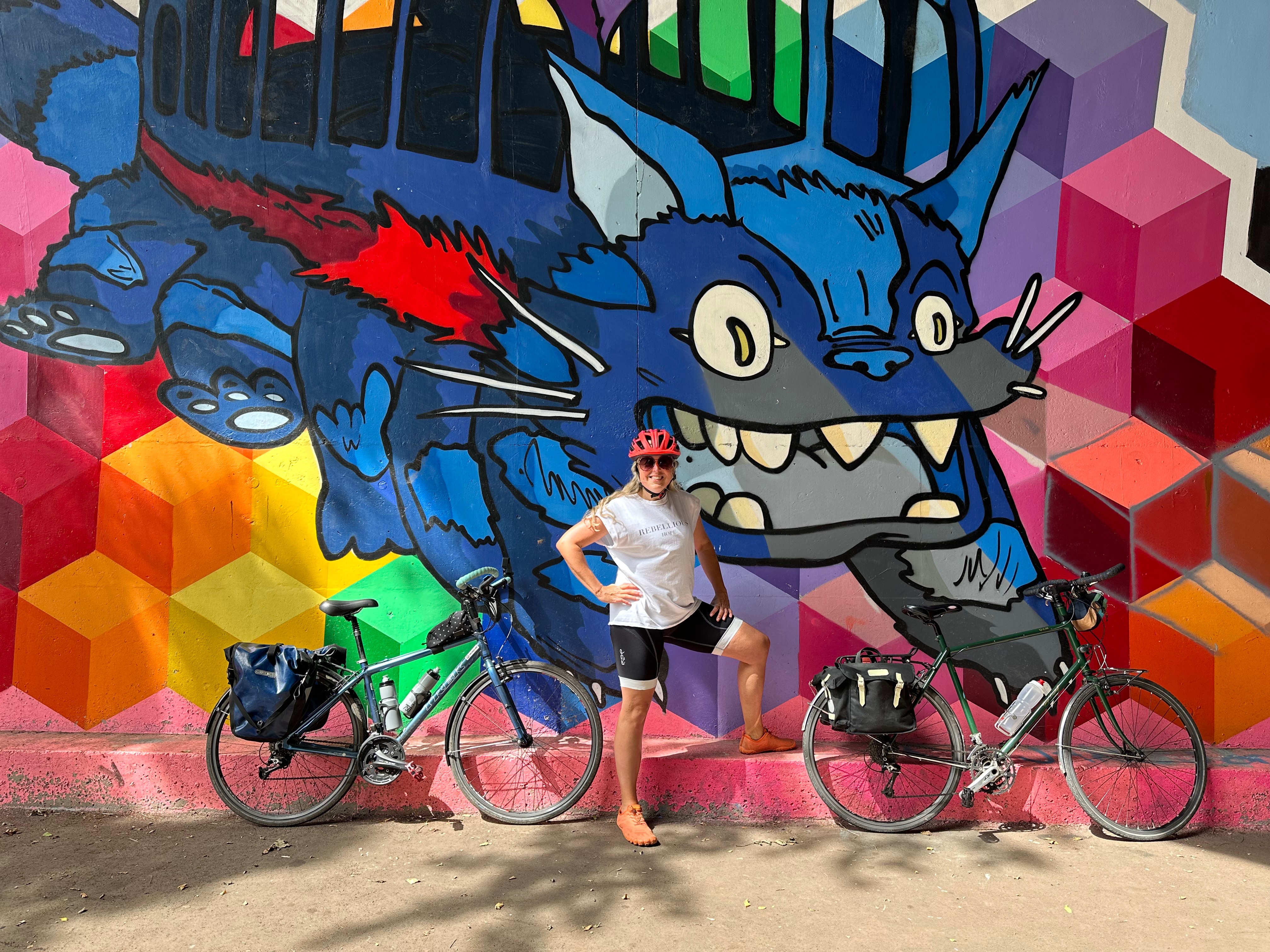 User-uploaded image 1